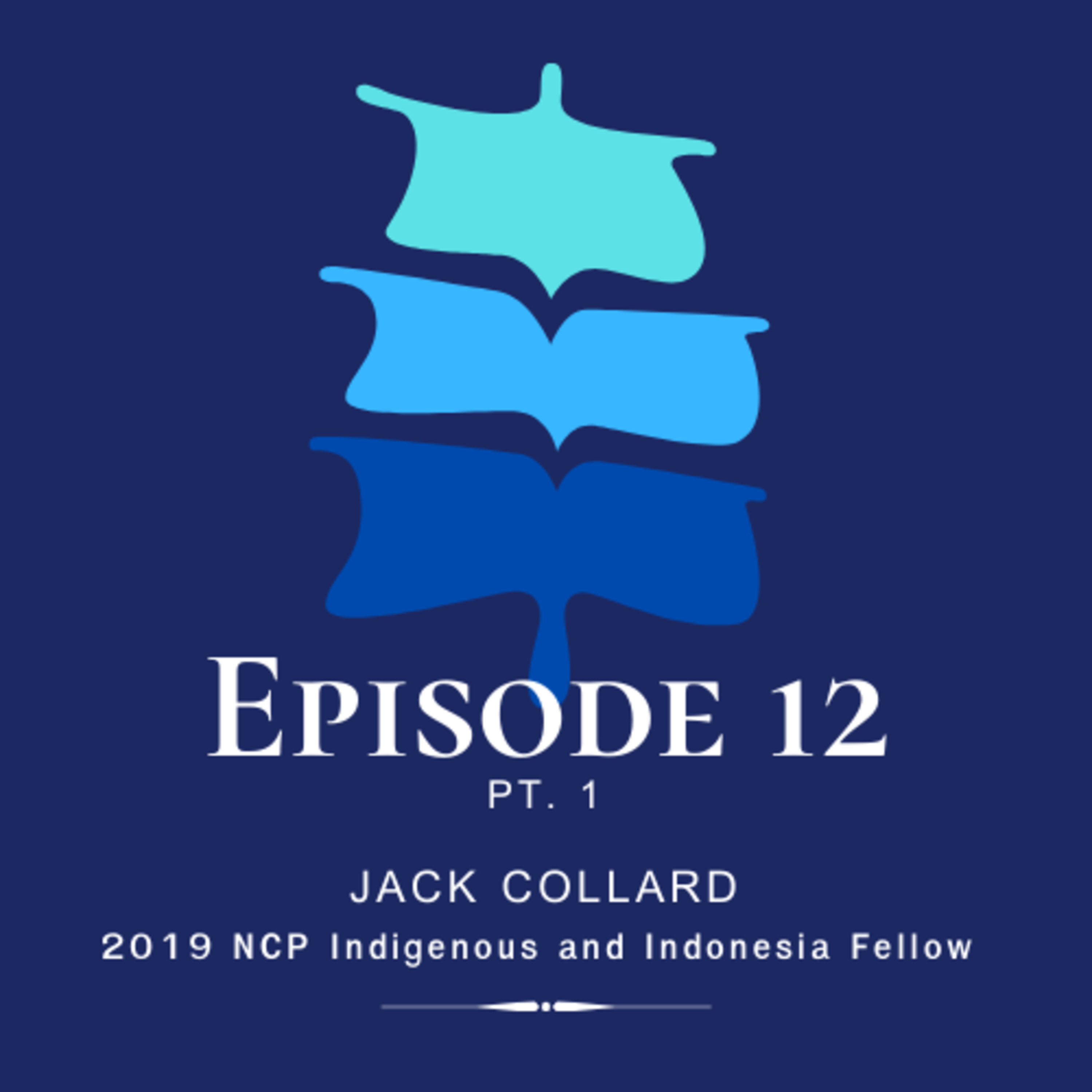 The New Colombo Plan Series