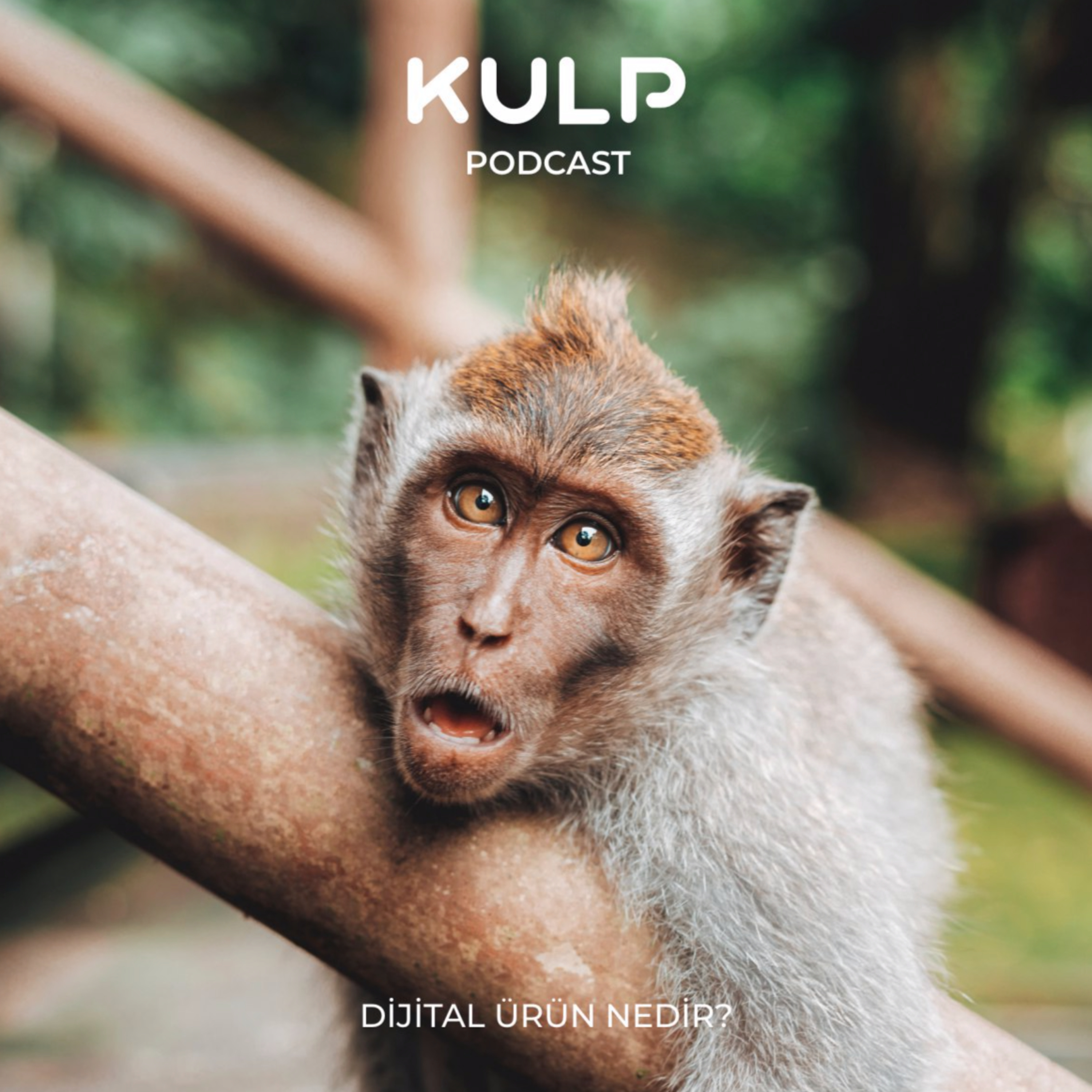 Kulp Podcast