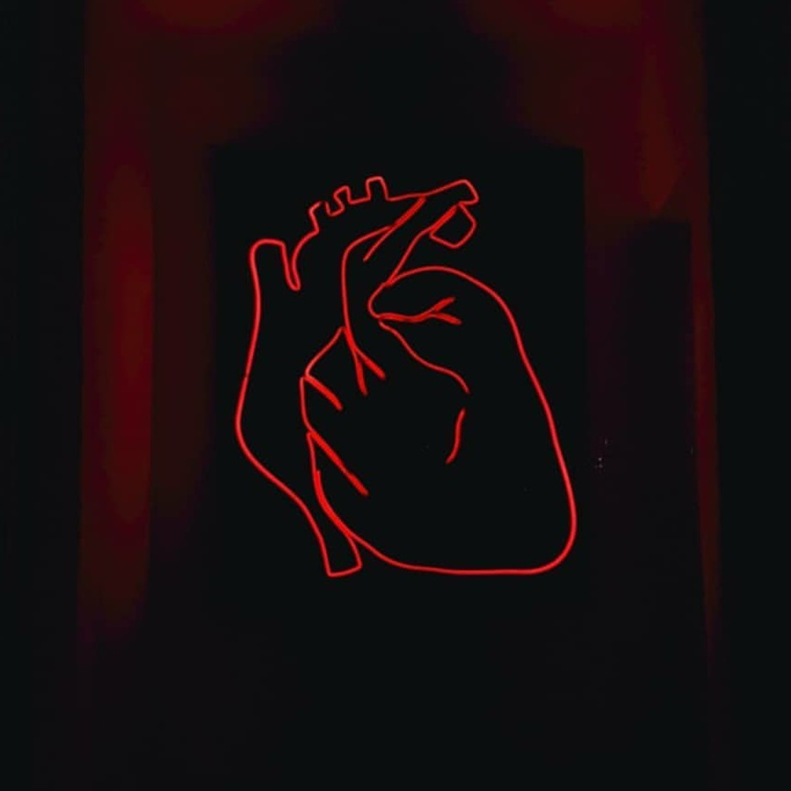 •ℍ𝕖𝕒𝕣𝕥 ℂ𝕙𝕖𝕔𝕜• episode artwork
