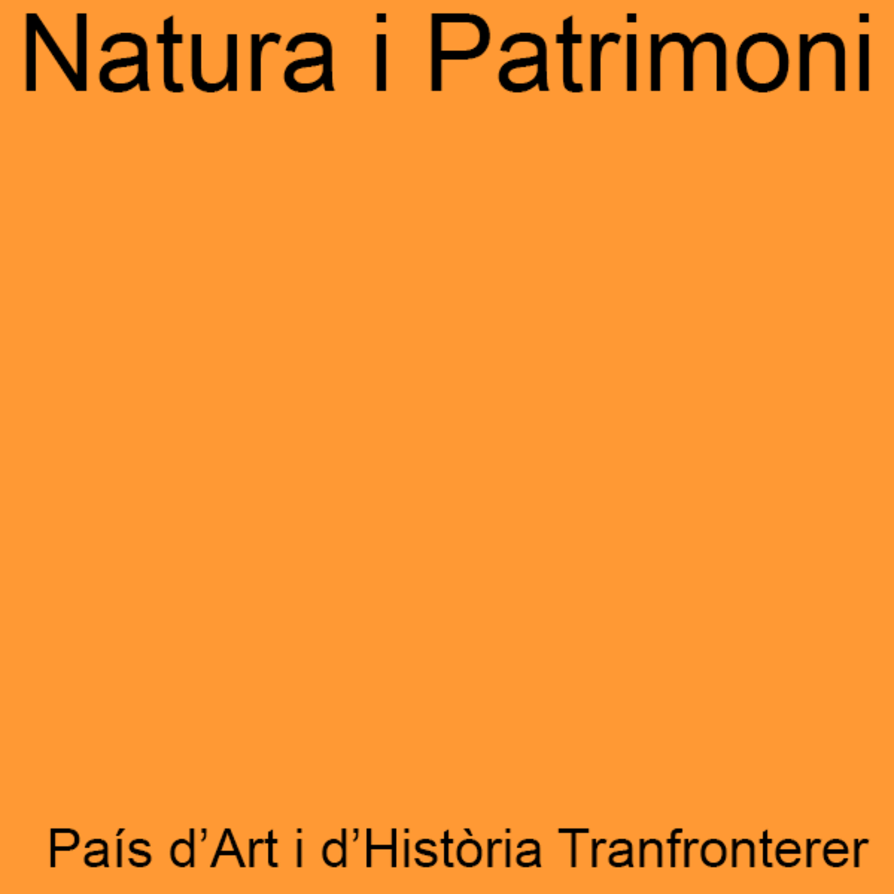 El País d'Art i d'Història Transfronterer - L' Art barroc