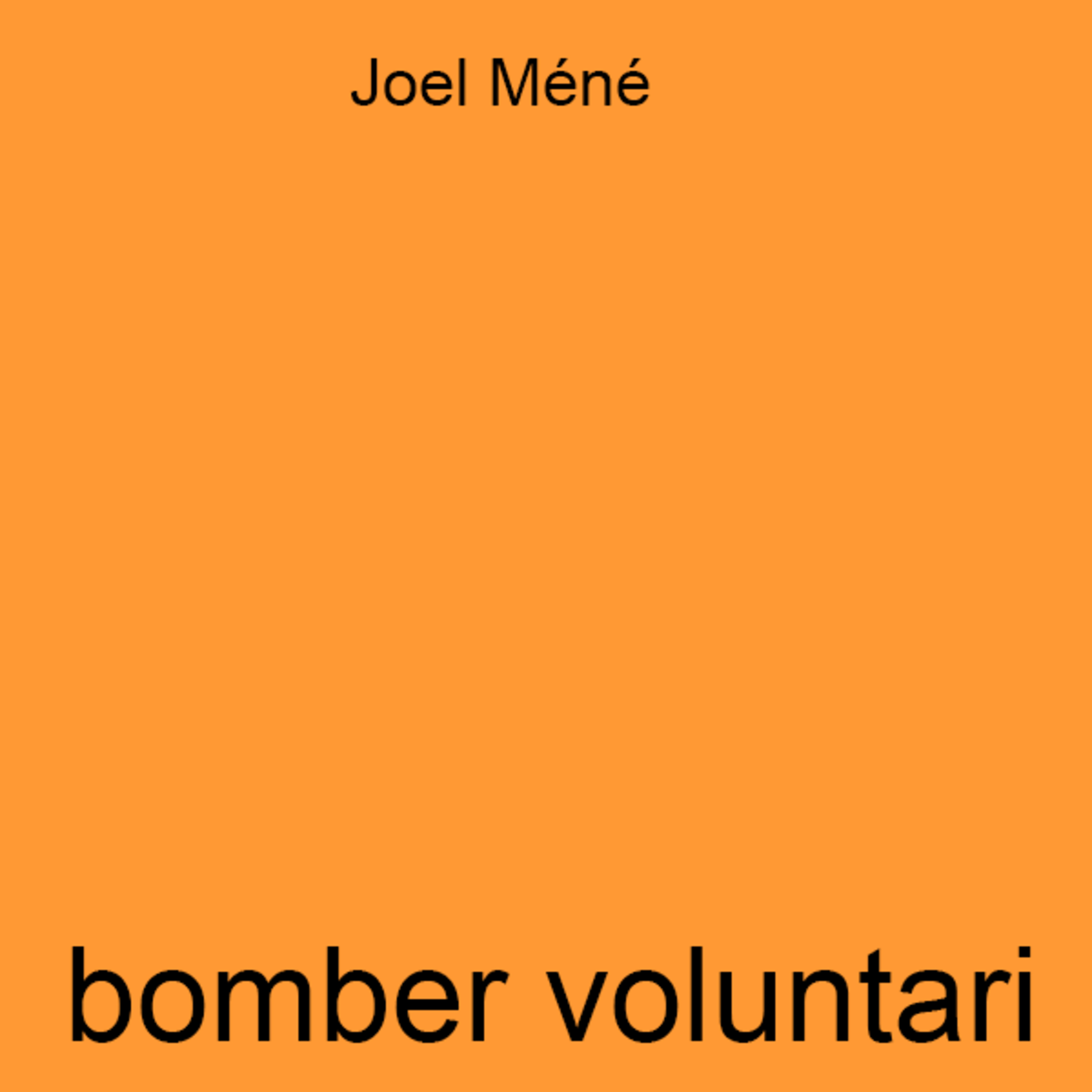 Bomber voluntari - Dilluns 31 d'agost