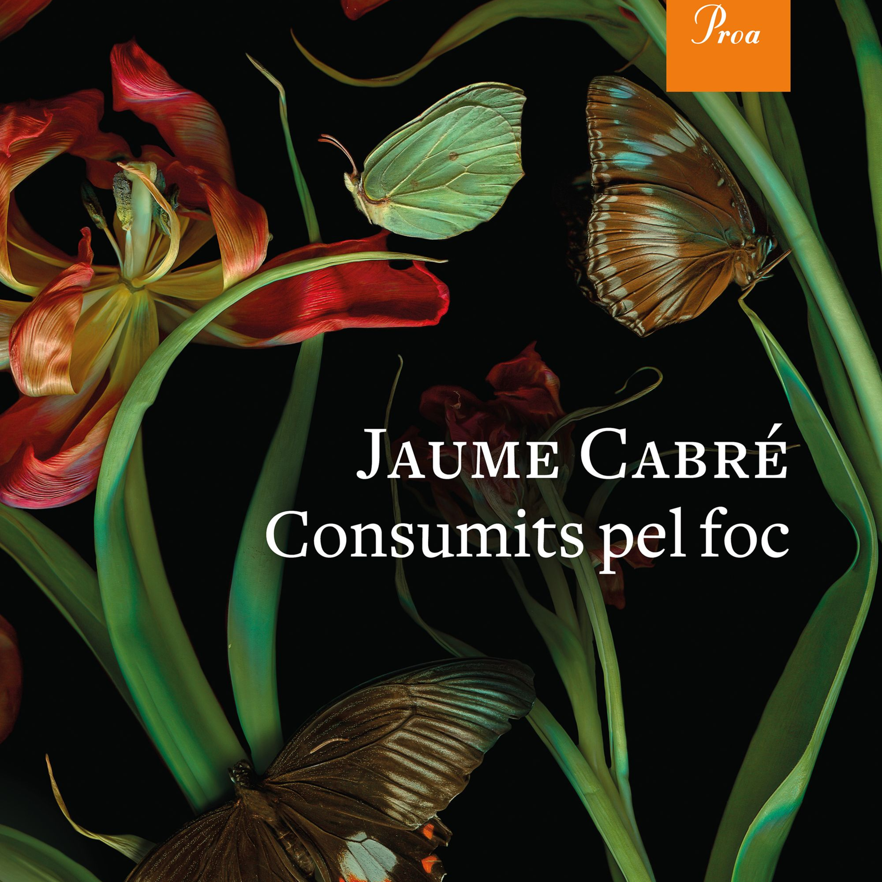 Joana Serra presenta el llibre "Consumits pel foc" episode artwork