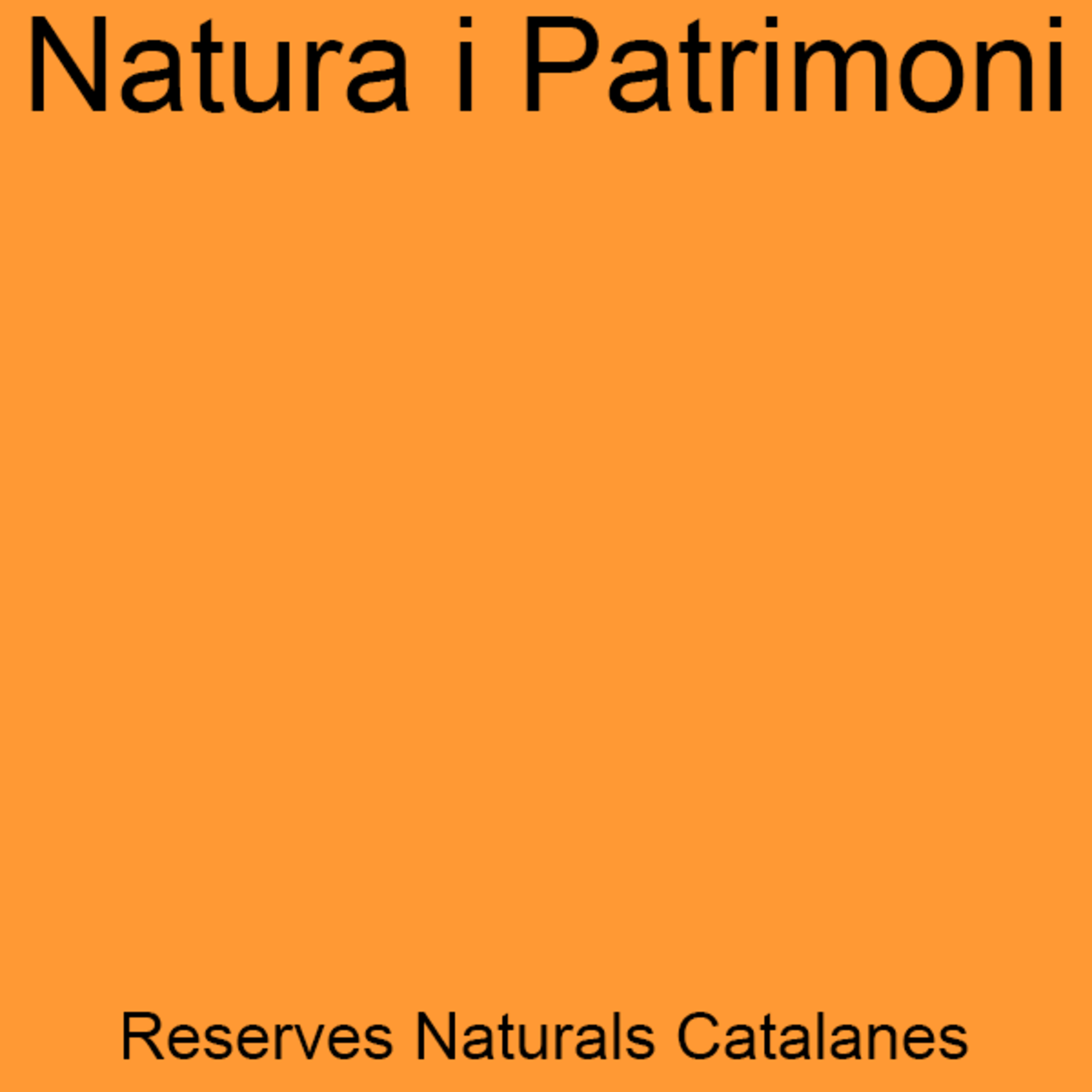 Felicia Segovia - Creadora d'àpats vegetals