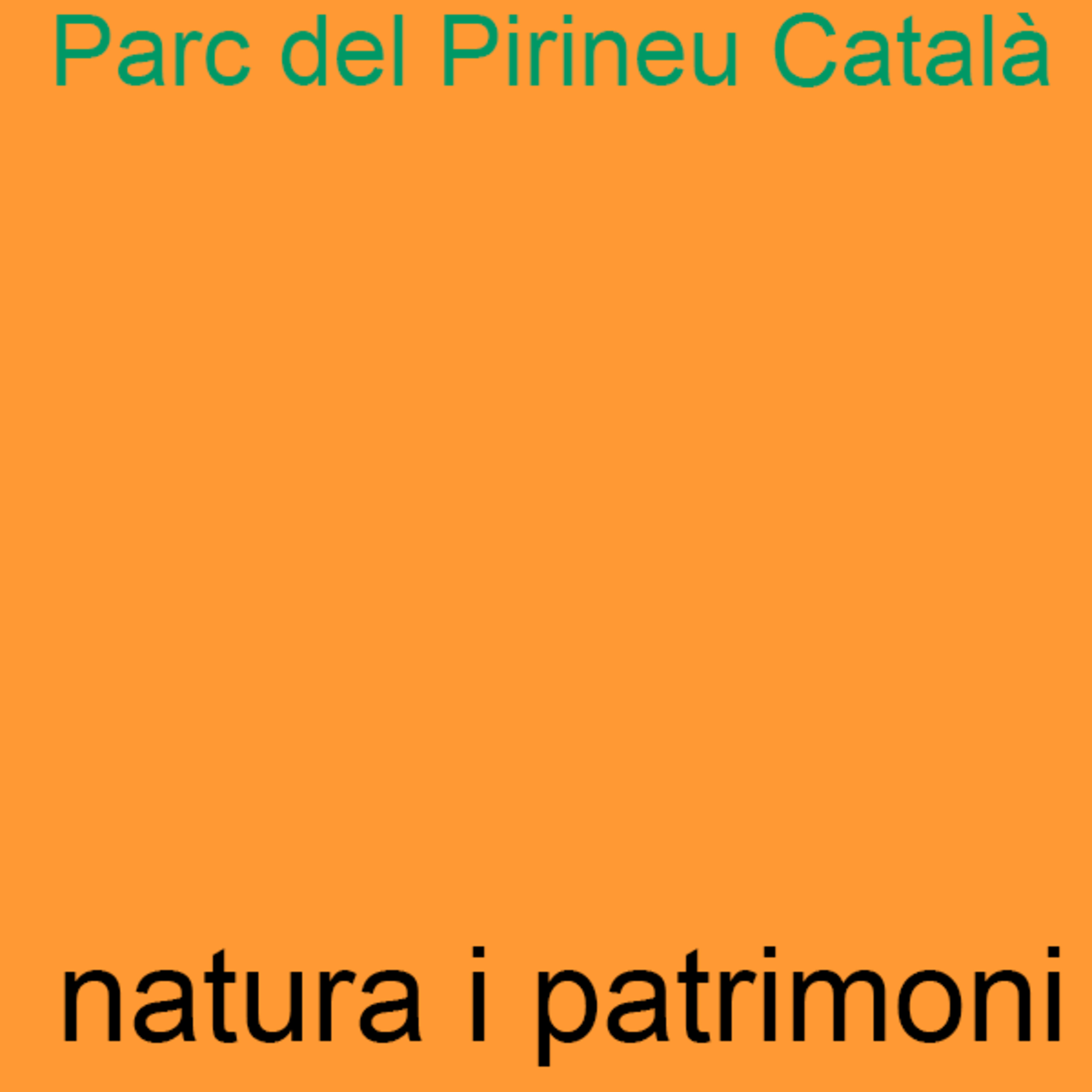 Descoberta de restes de lleons gegants al Conflent
