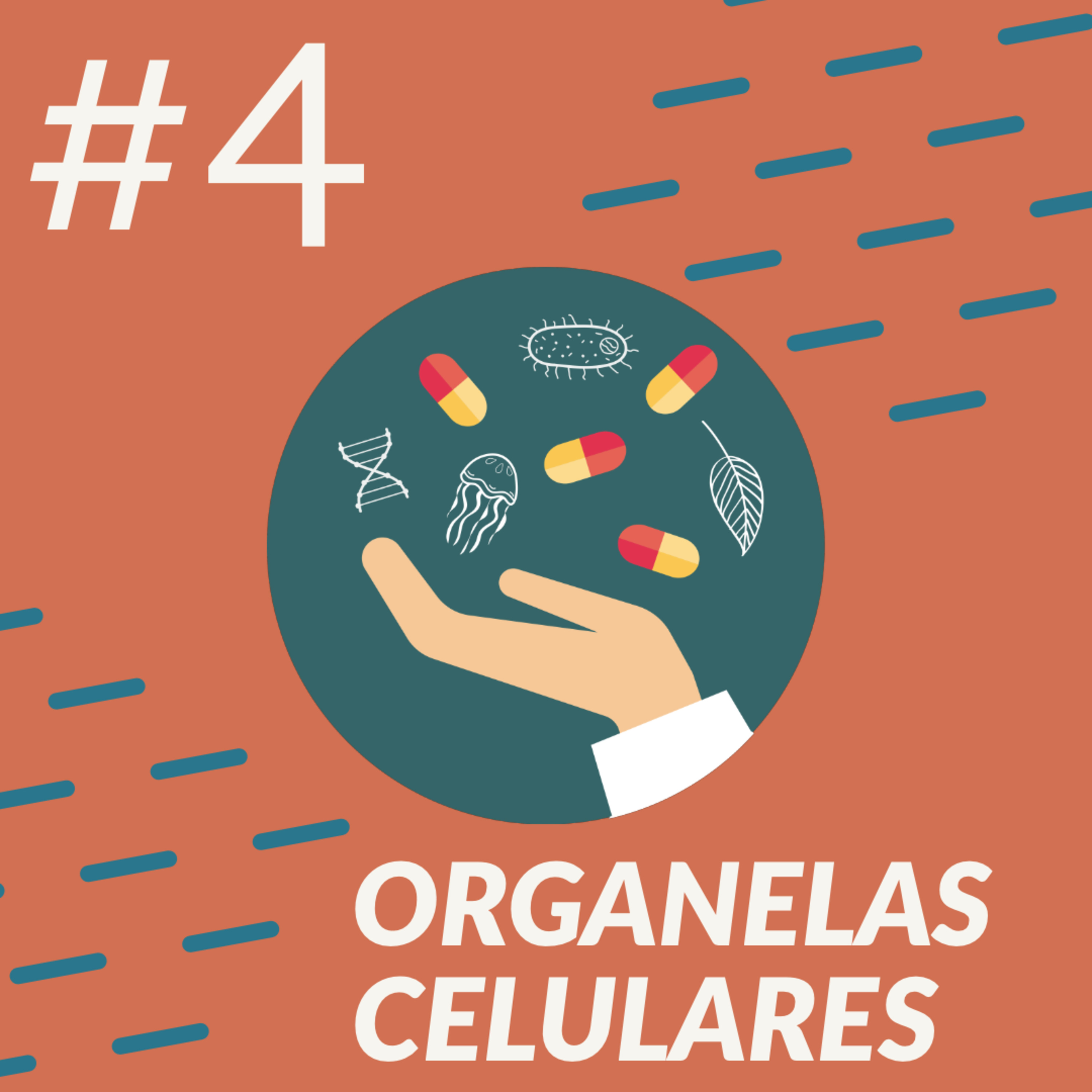 Pílulas de Biologia