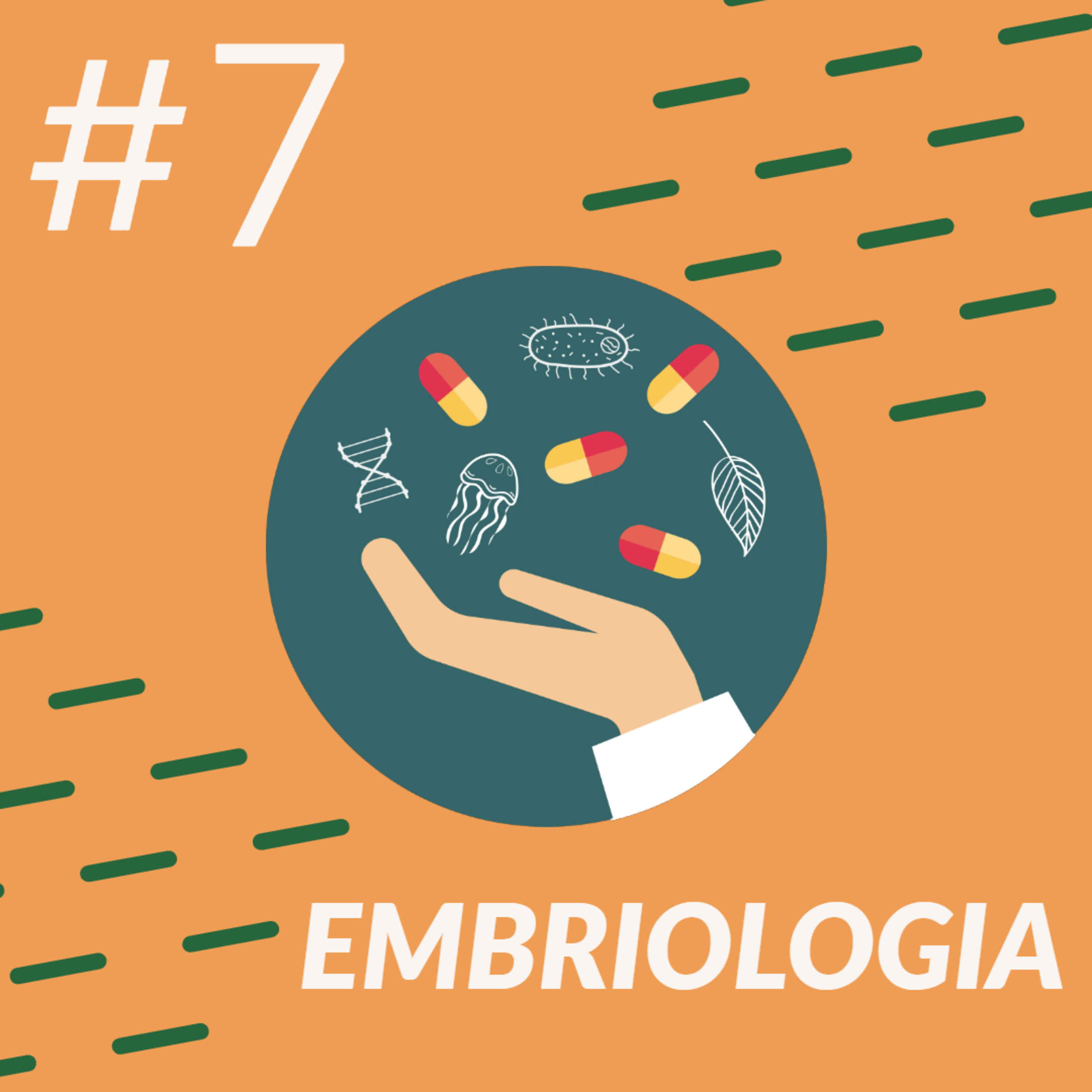 Pílulas de Biologia