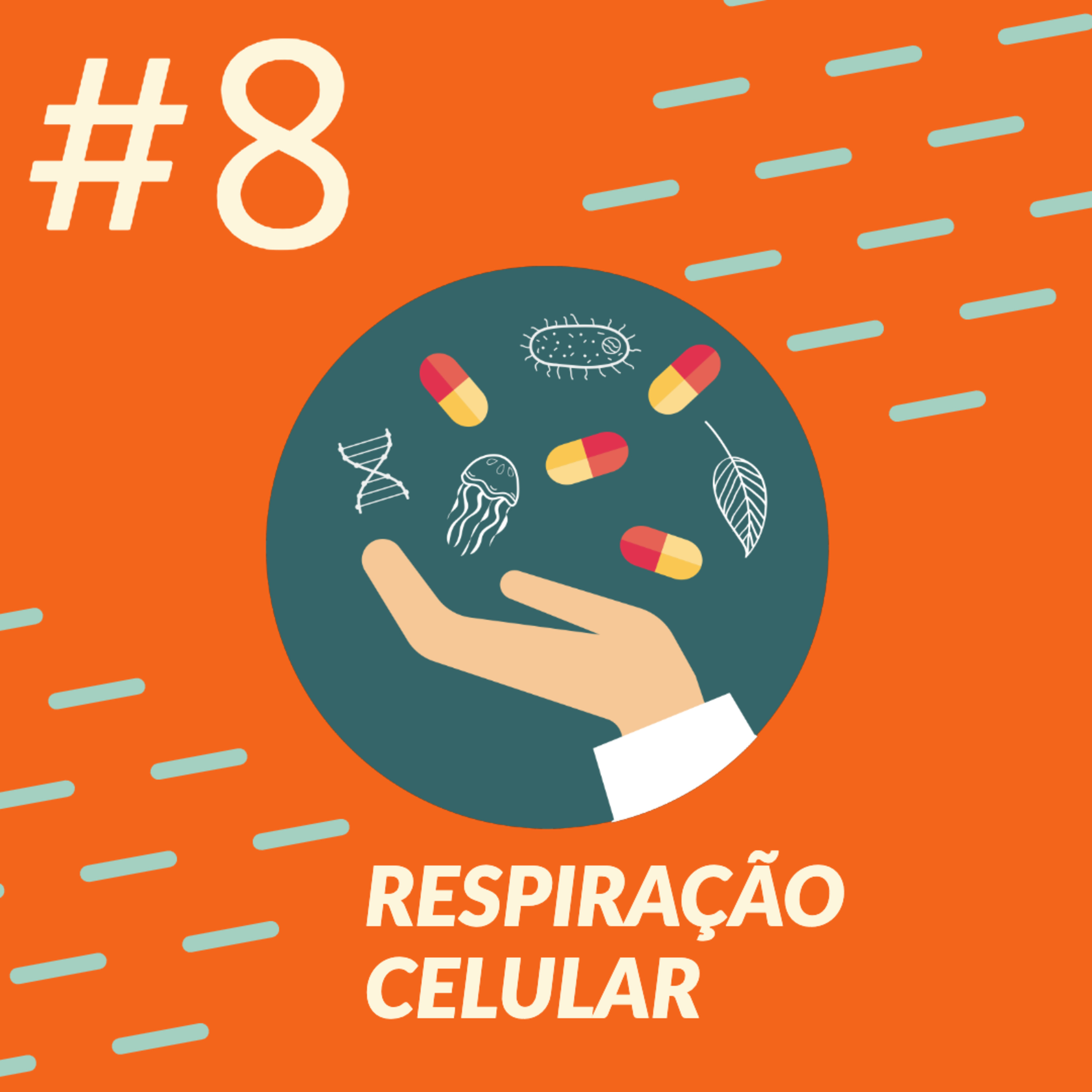 Pílulas de Biologia