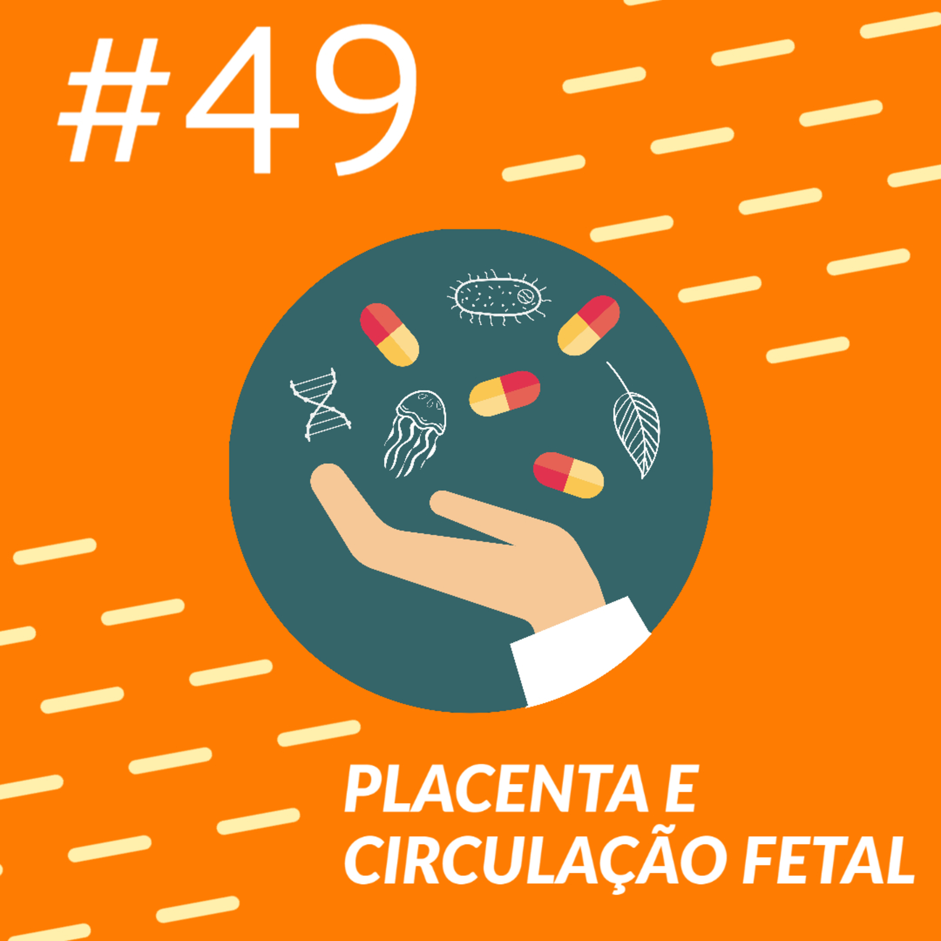 Pílulas de Biologia