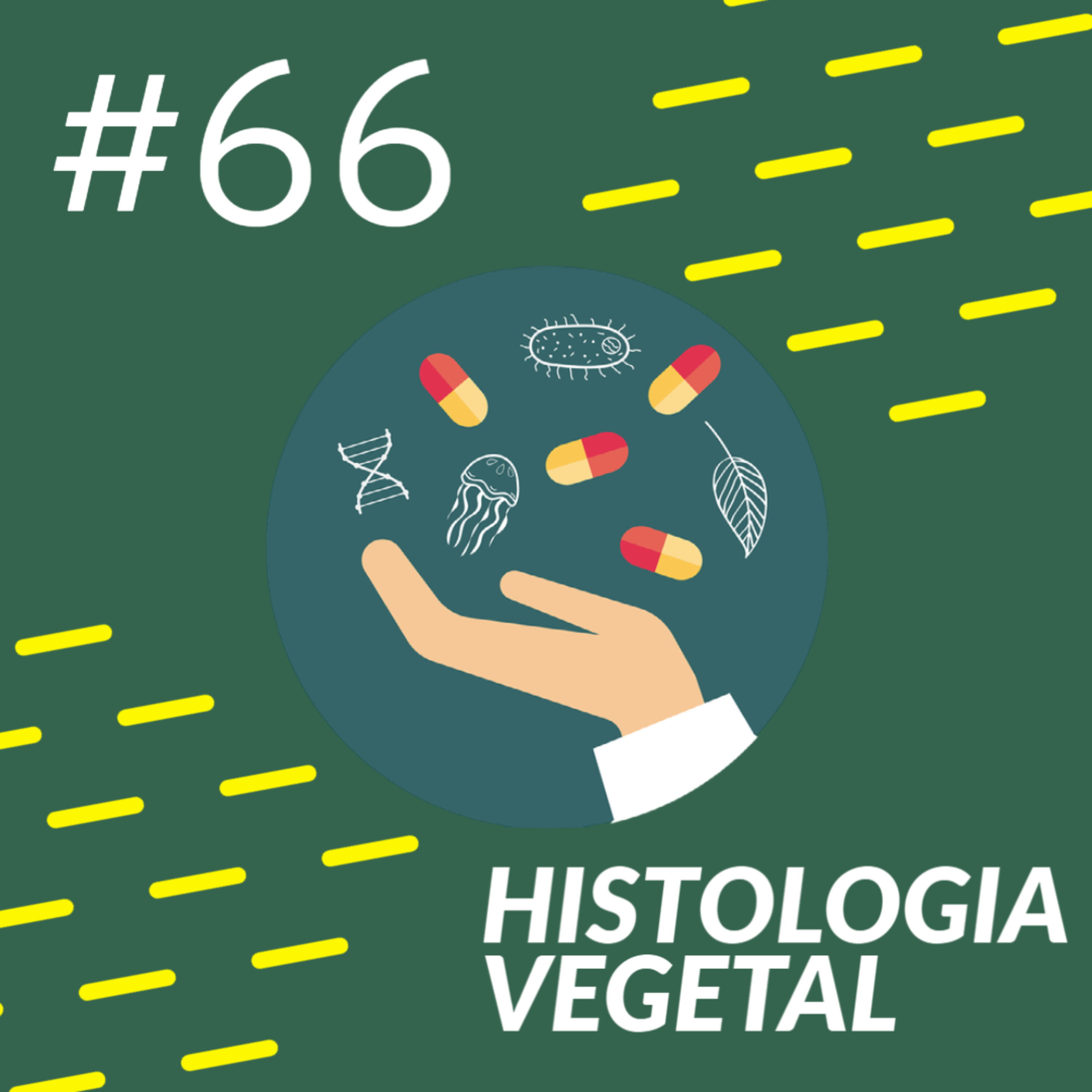 Pílulas de Biologia