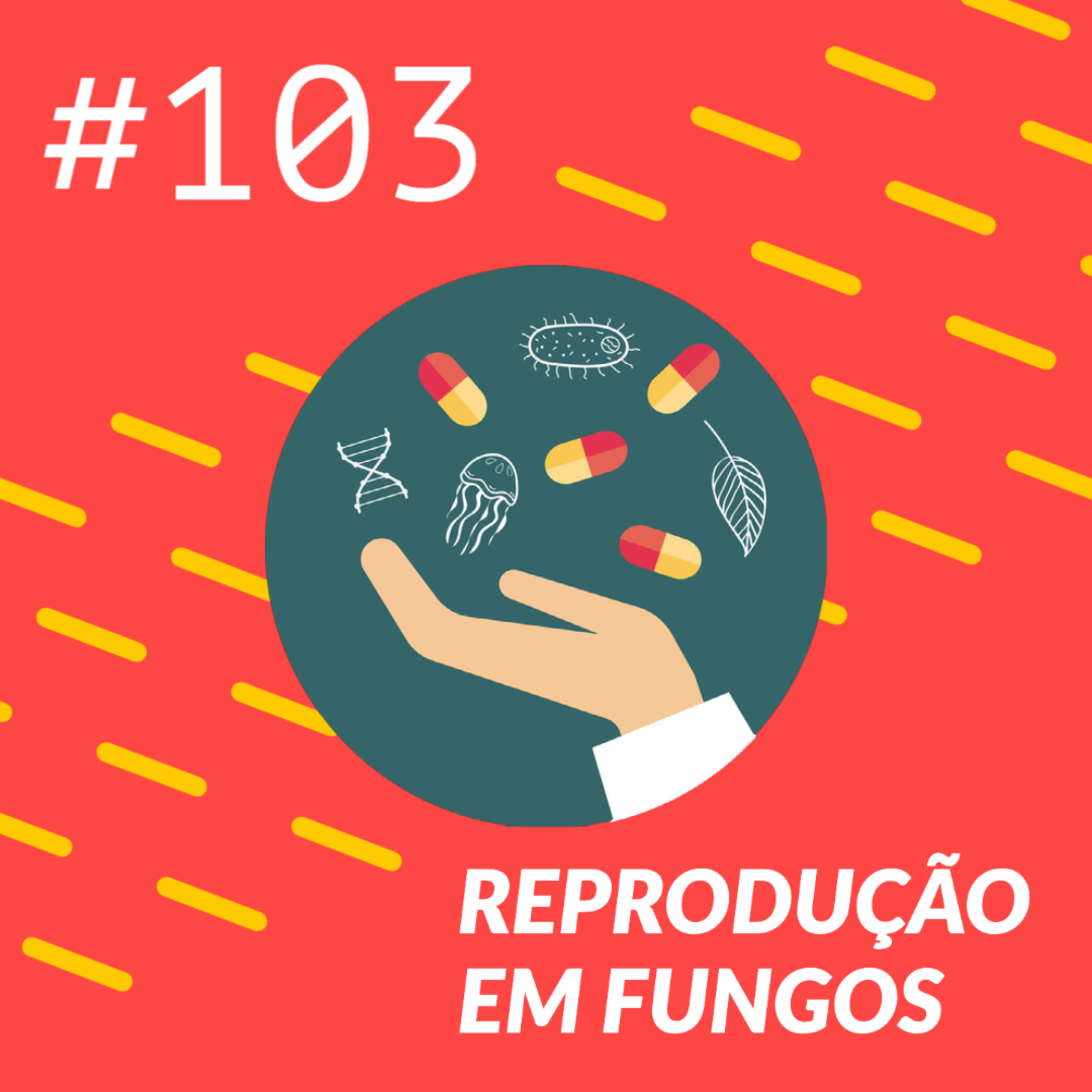 Reprodução em Fungos episode artwork