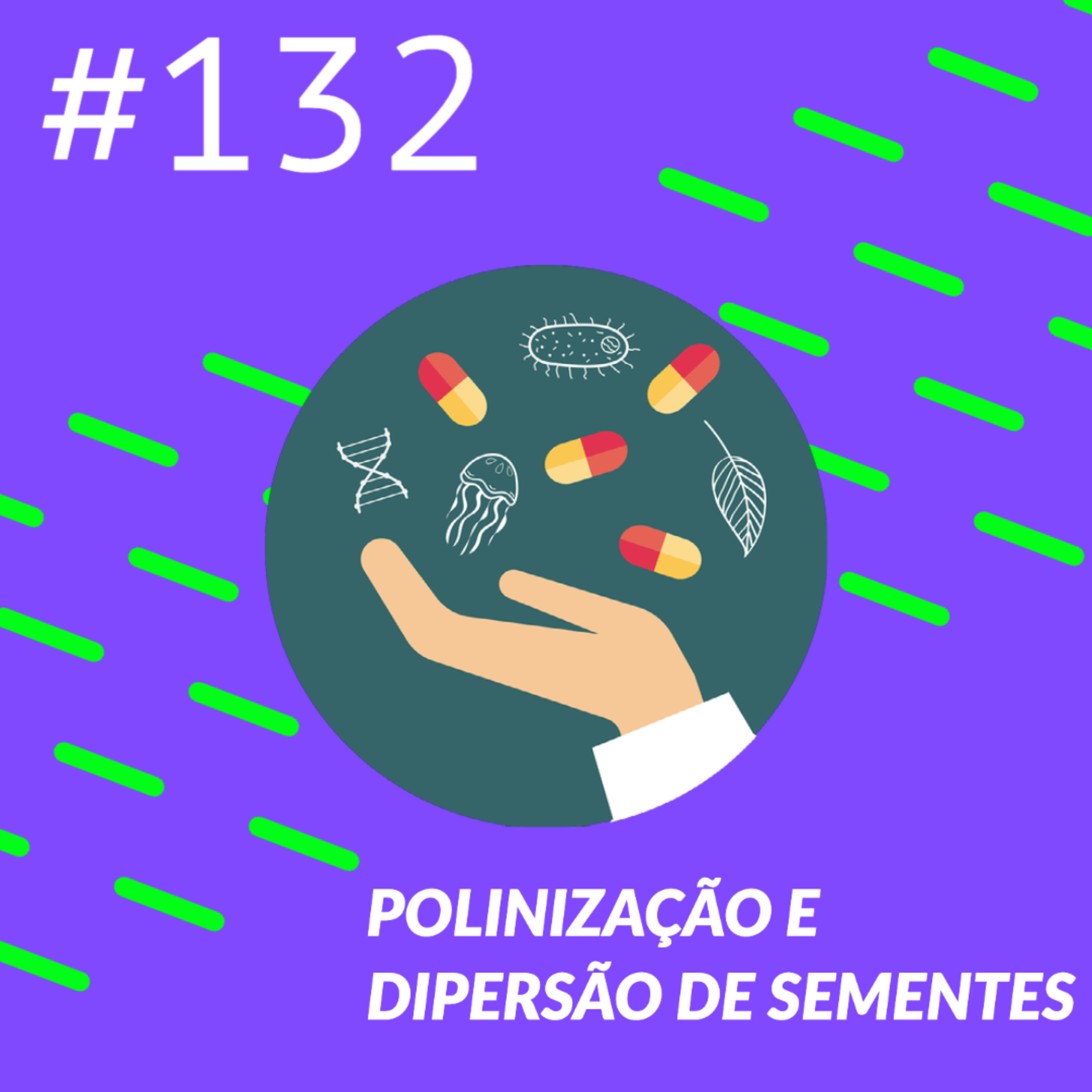 Polinização e Dispersão de sementes episode artwork