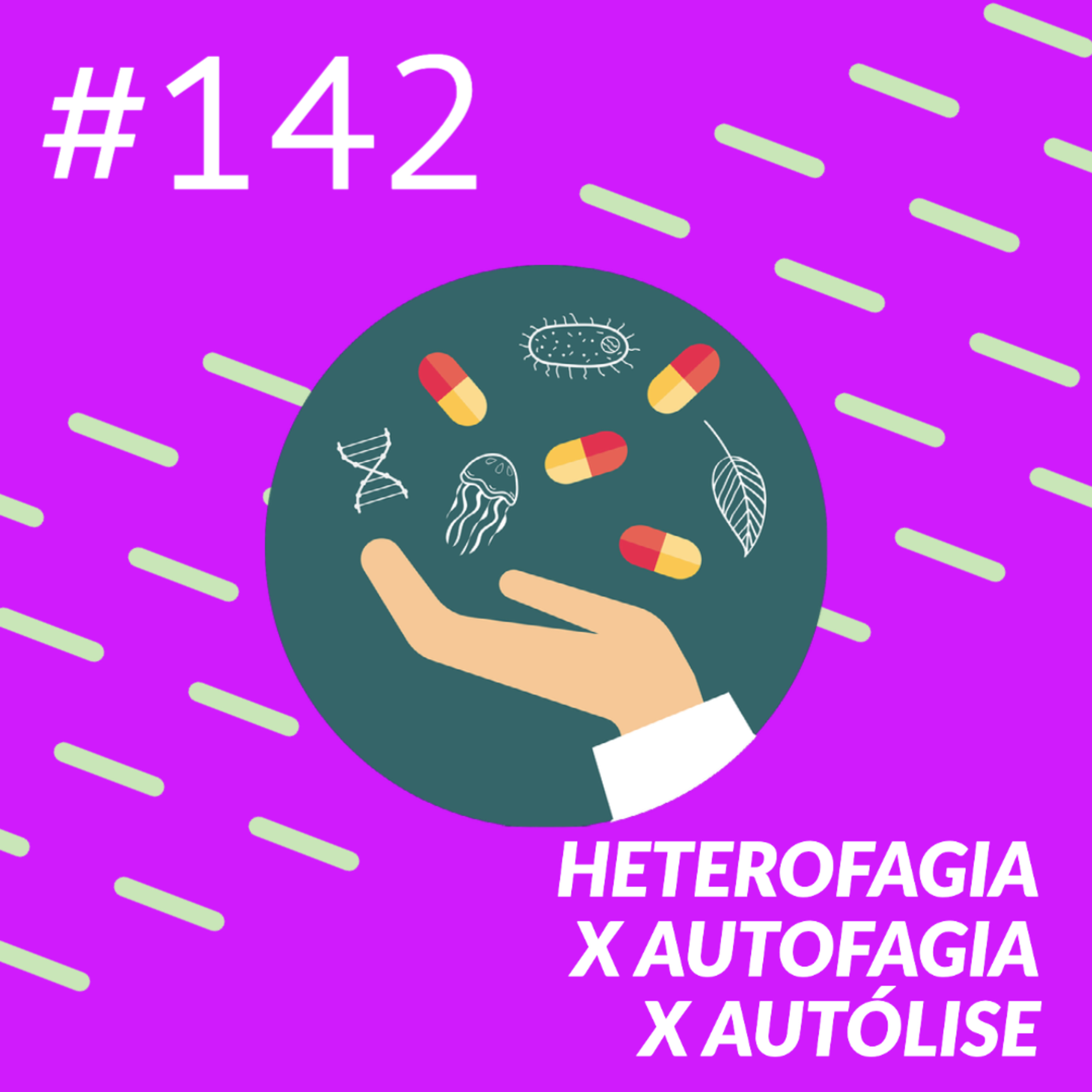 Heterofagia x Autofagia x Autólise episode artwork