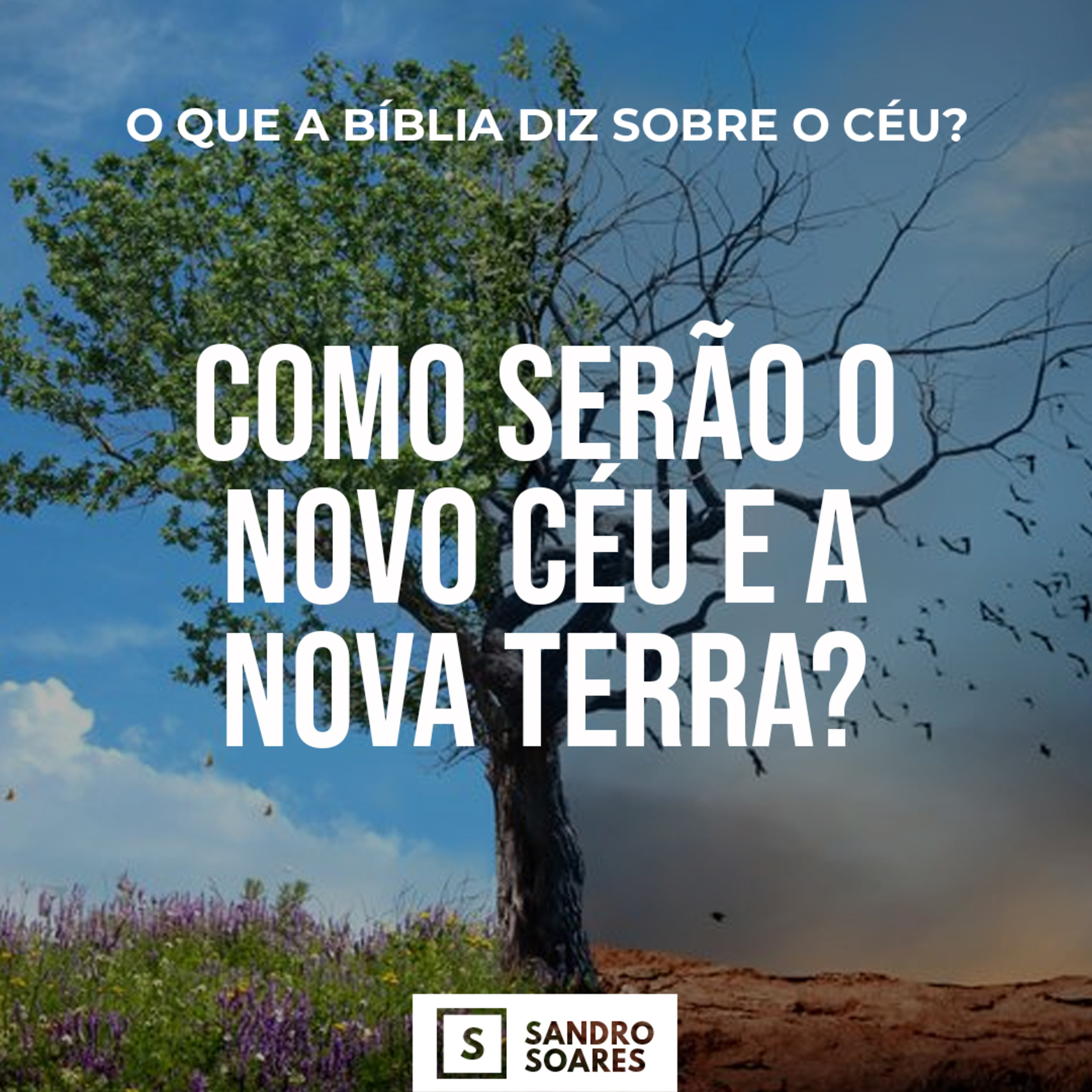 Sandro Soares
