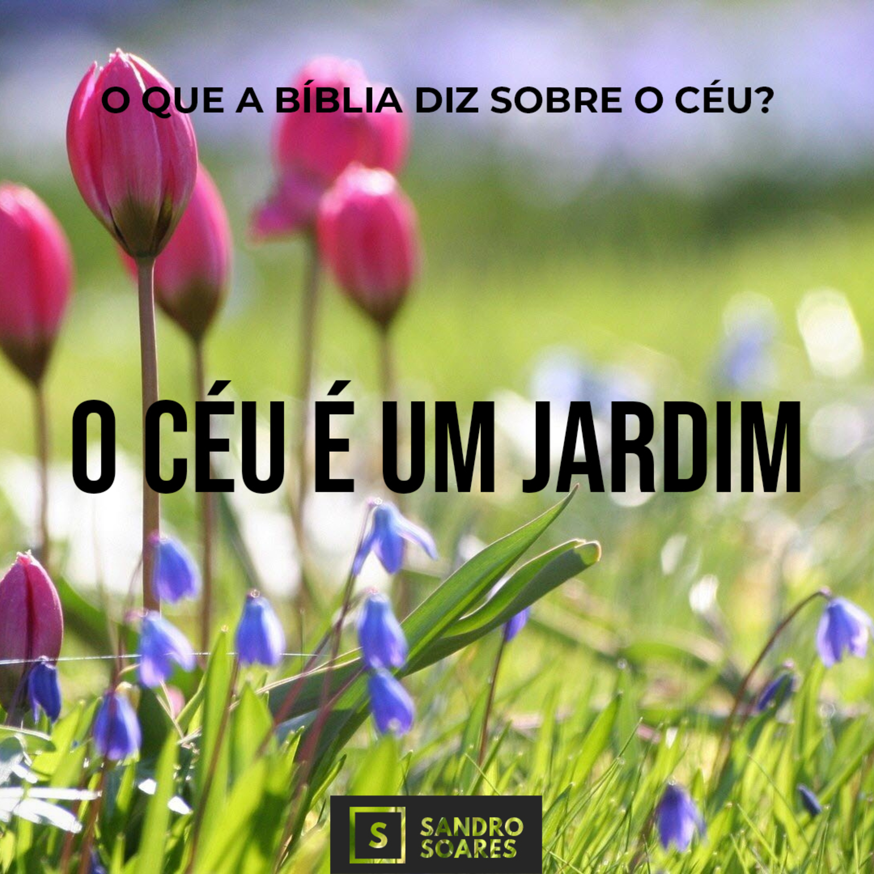 Sandro Soares