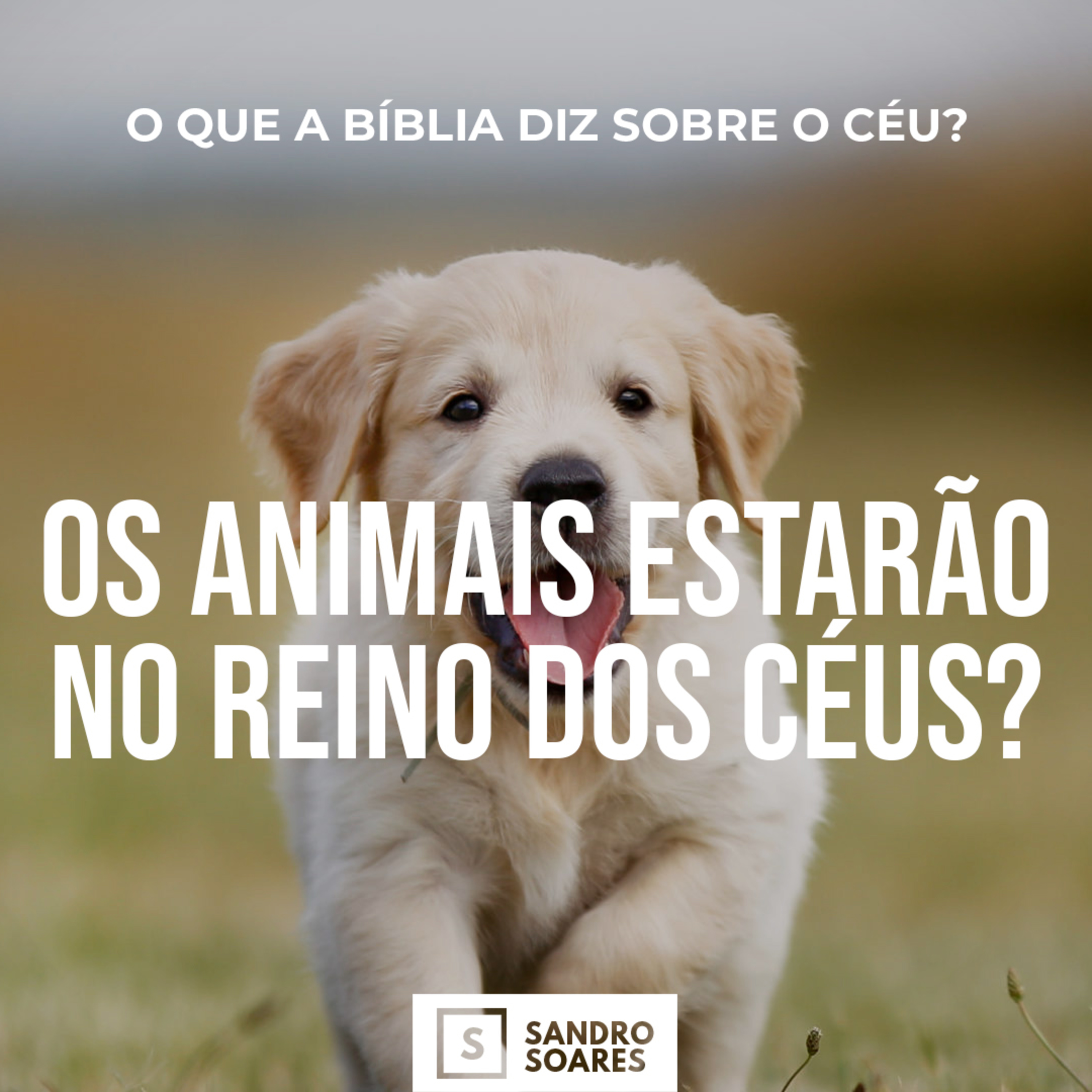 Sandro Soares