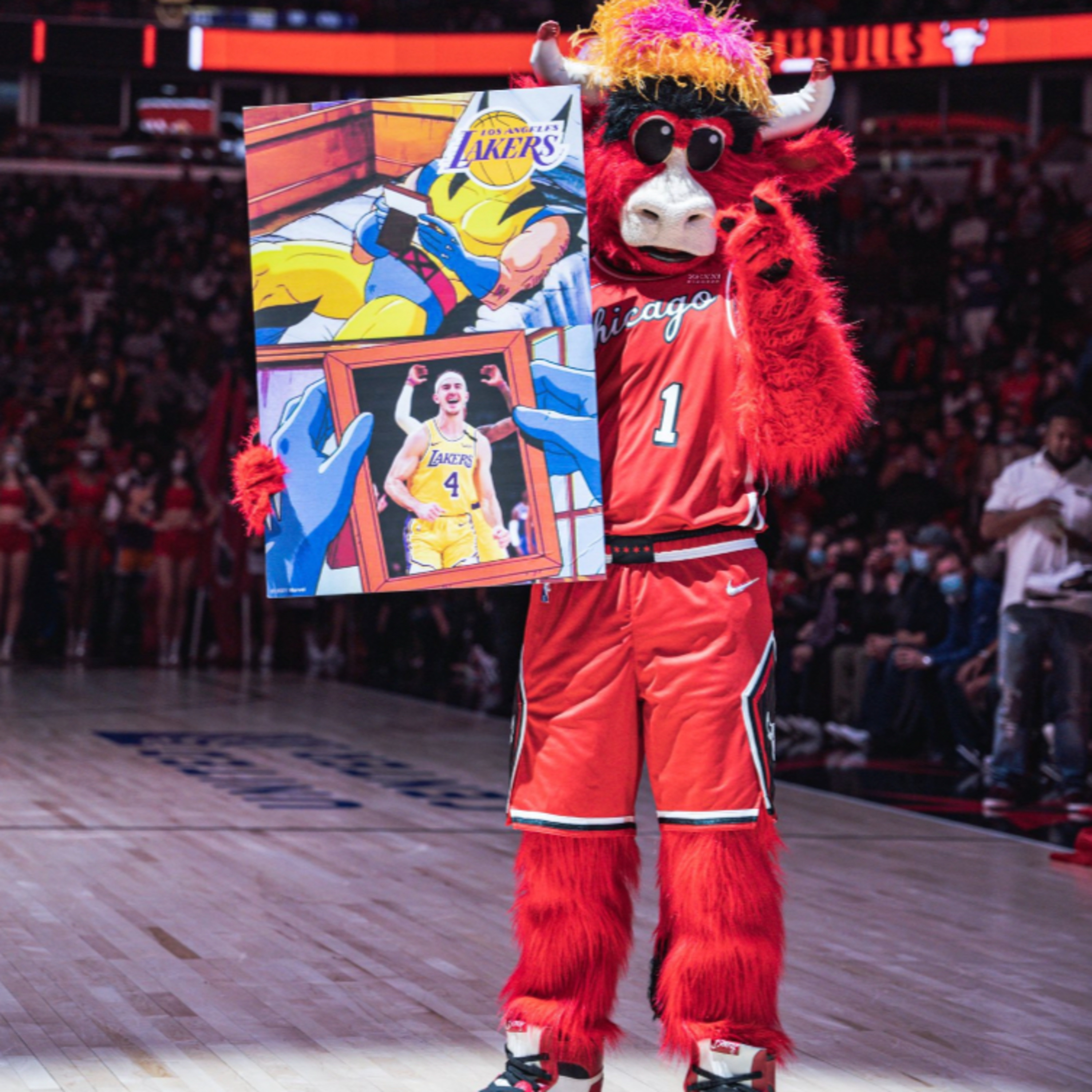 D1 Ignant University