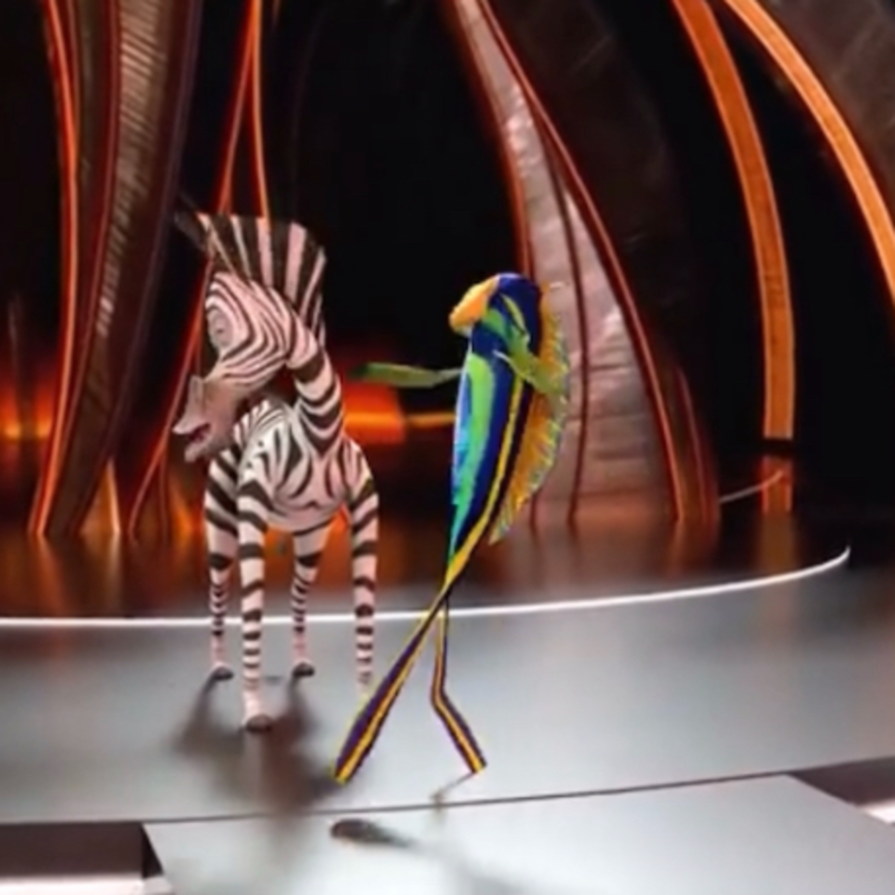 D1 Ignant University