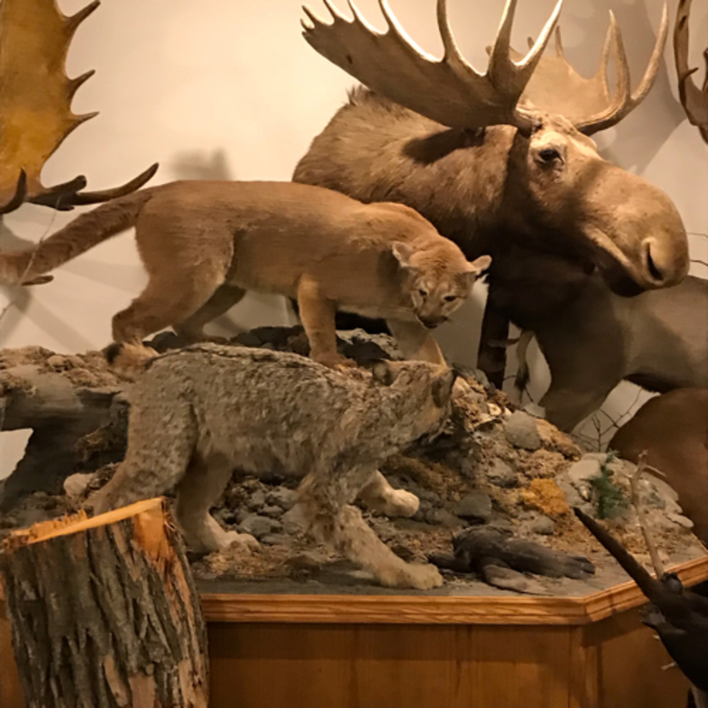 Practice run through