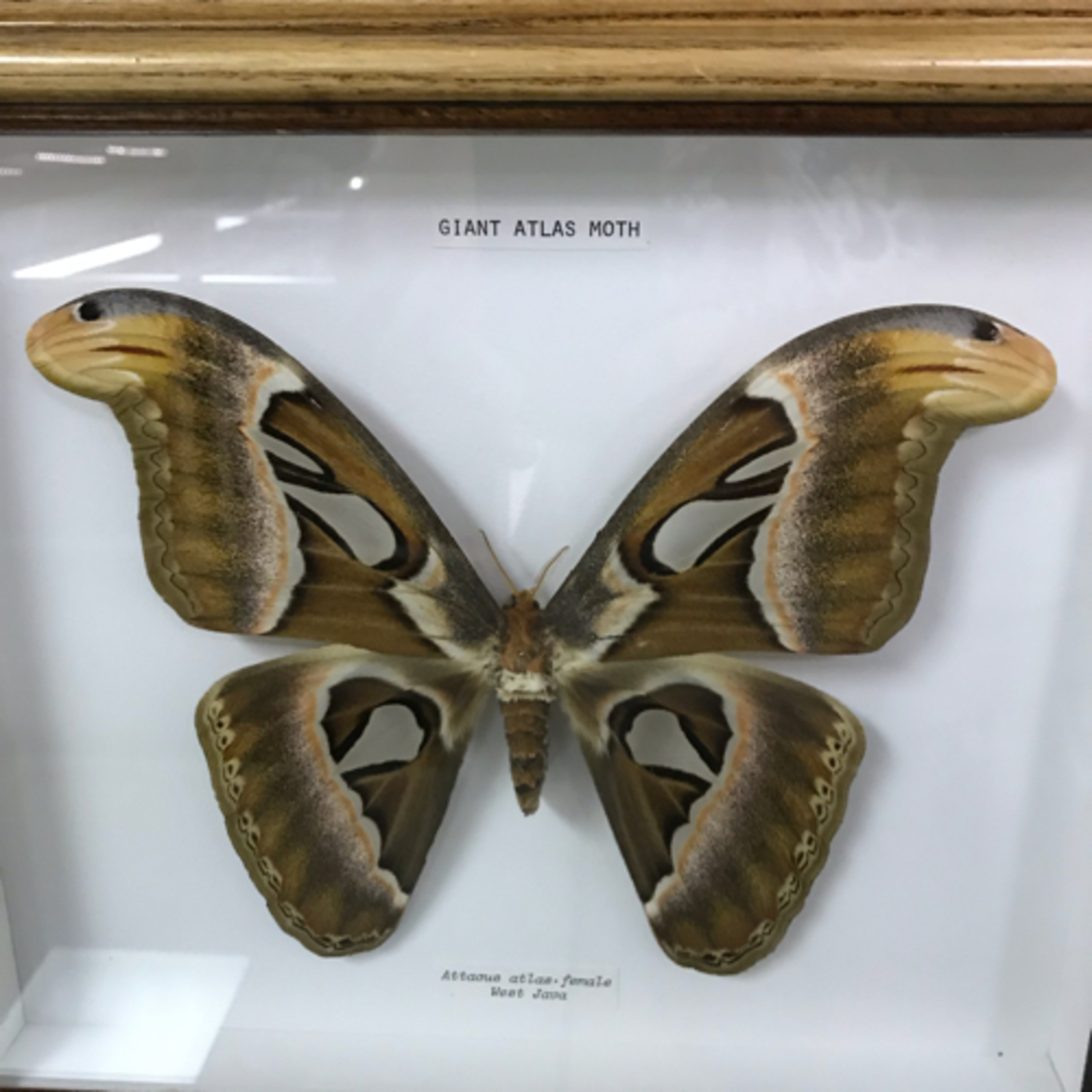 Practice run through