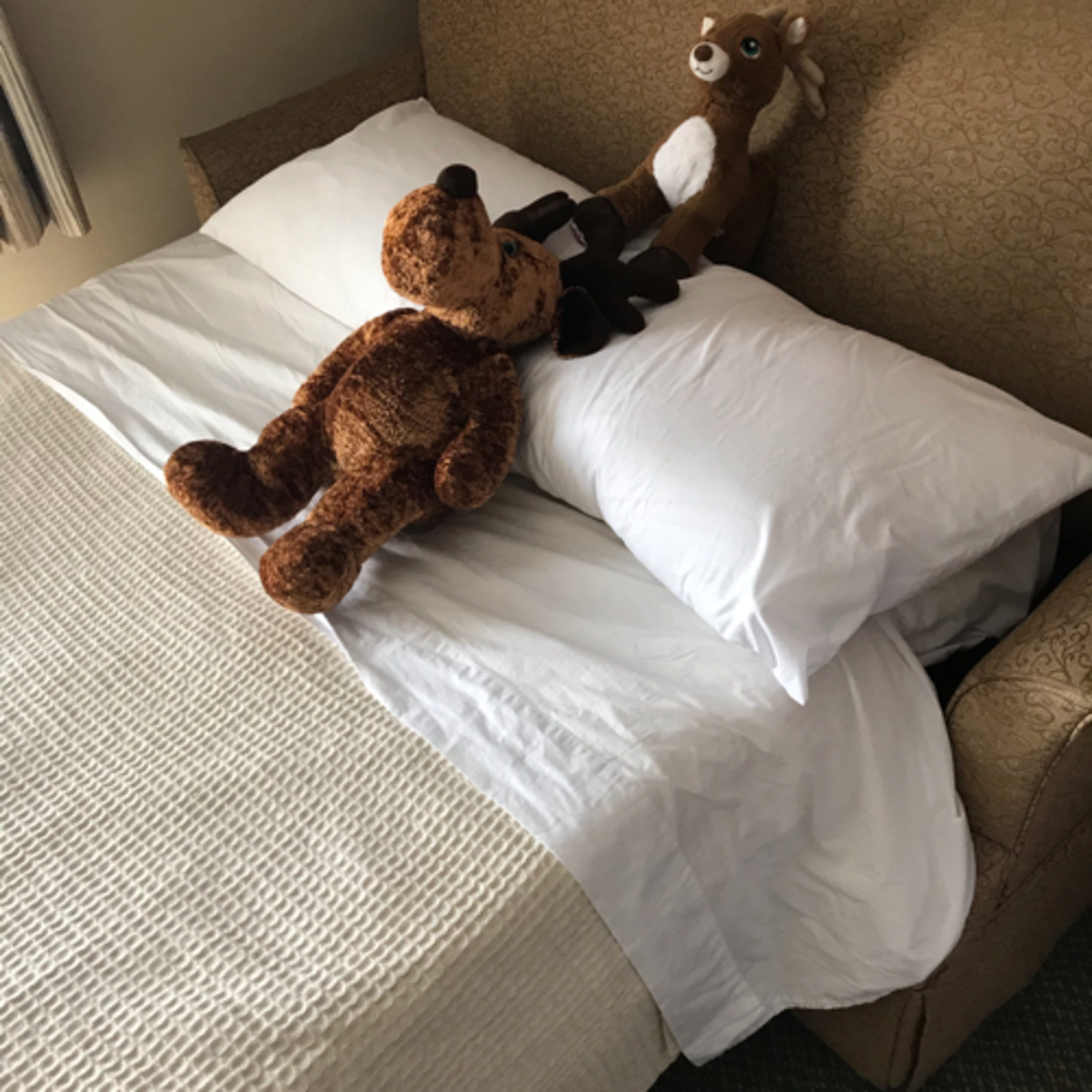 Practice run through