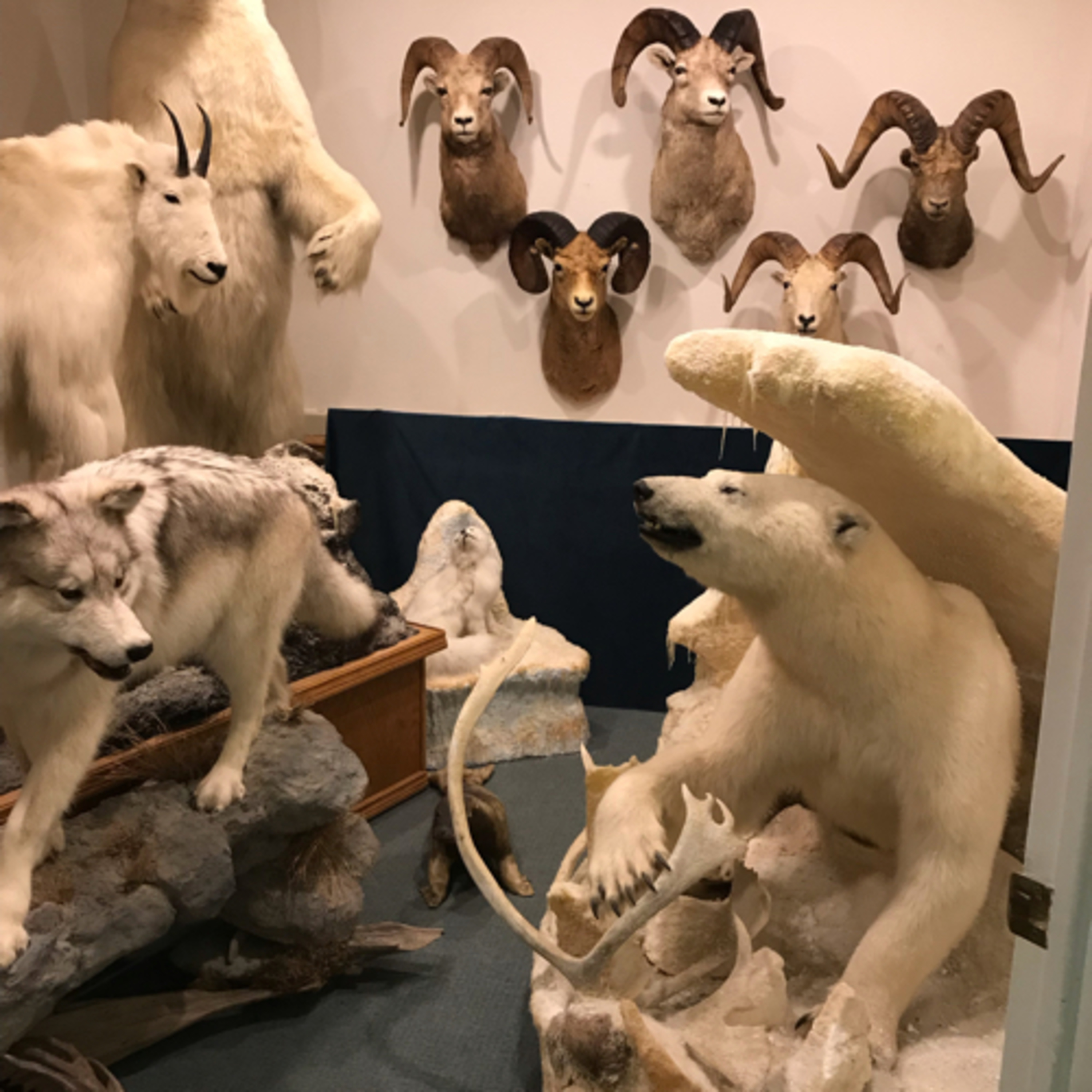 Practice run through