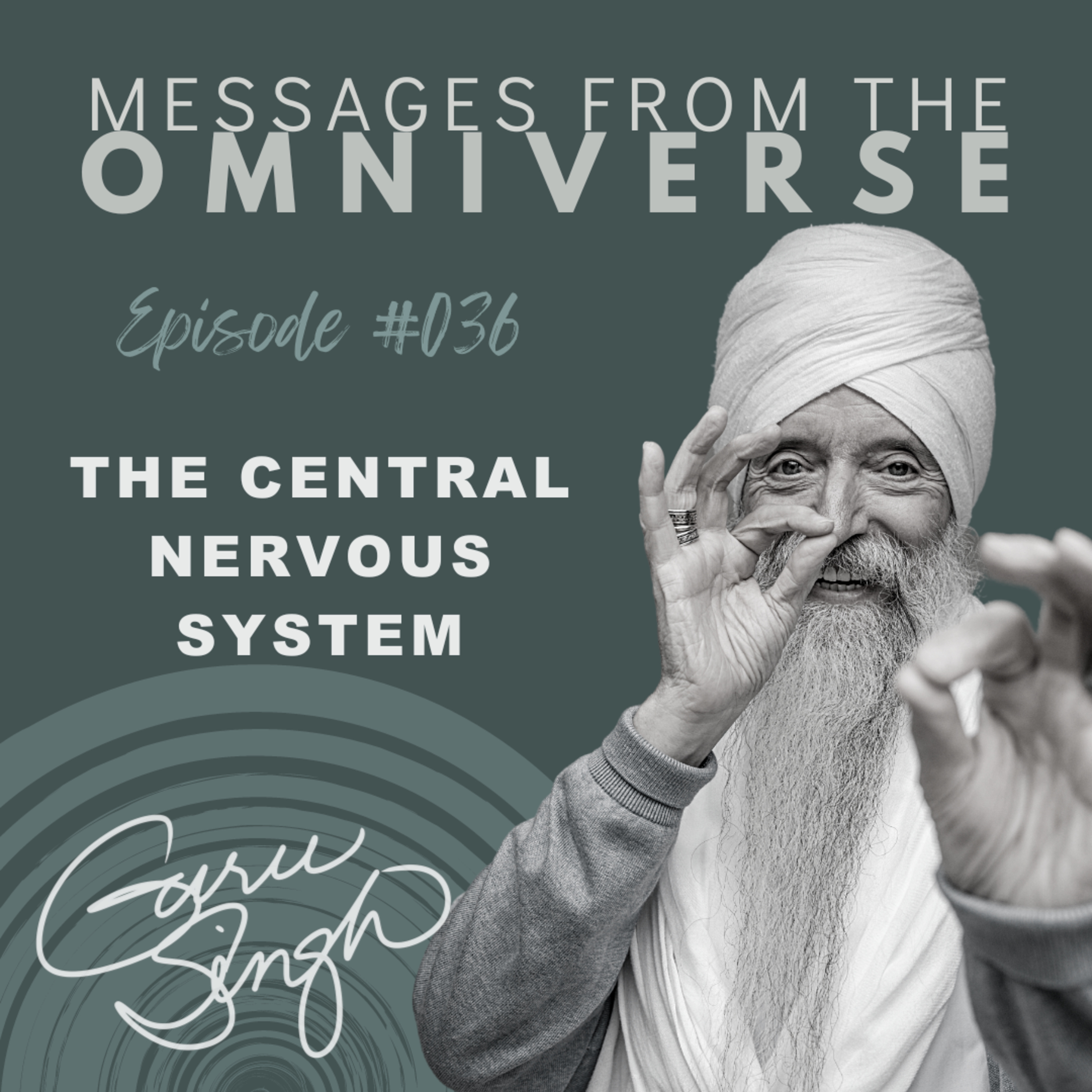 EP [036] The Central Nervous System