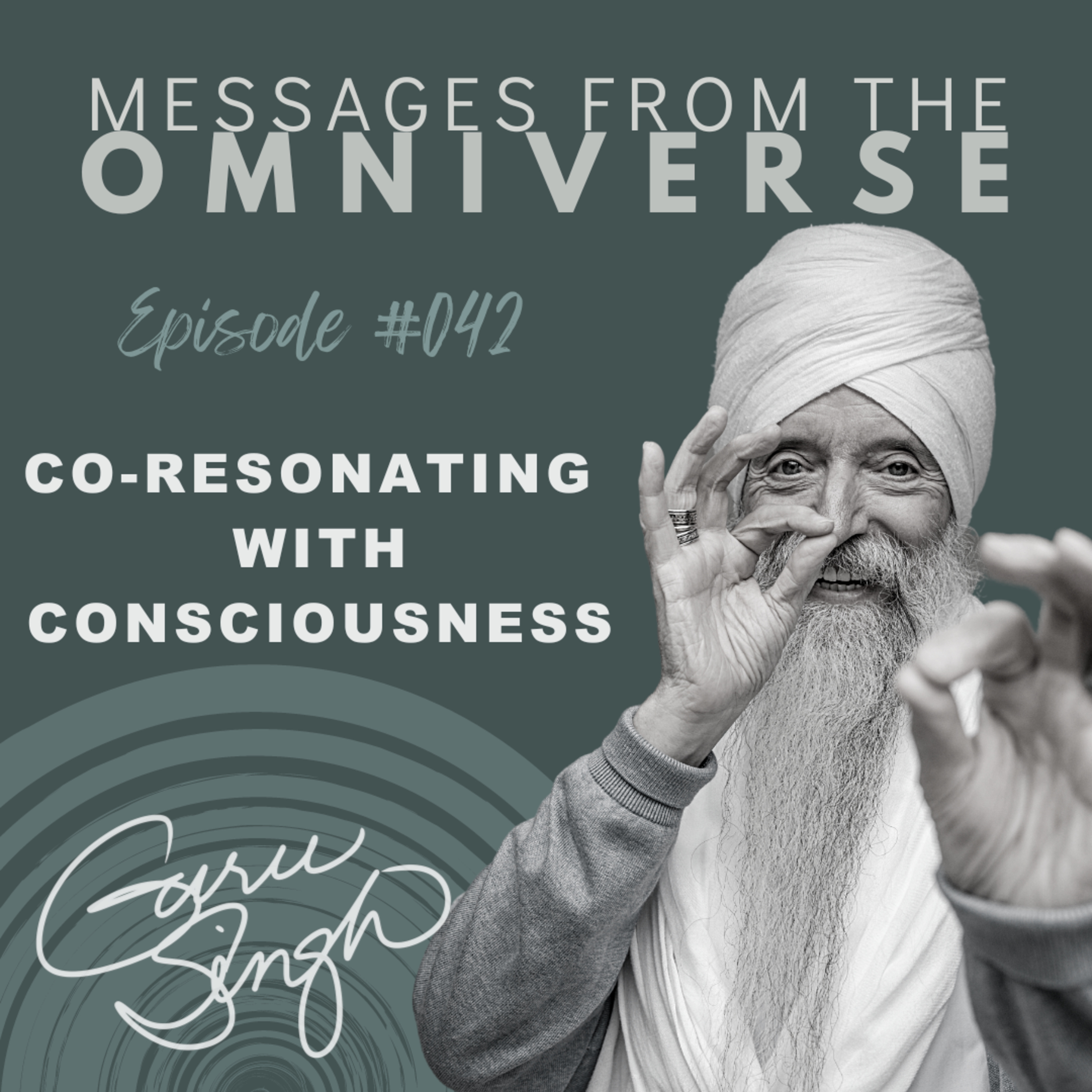 EP [042] Co-Resonating with Conscousness episode artwork