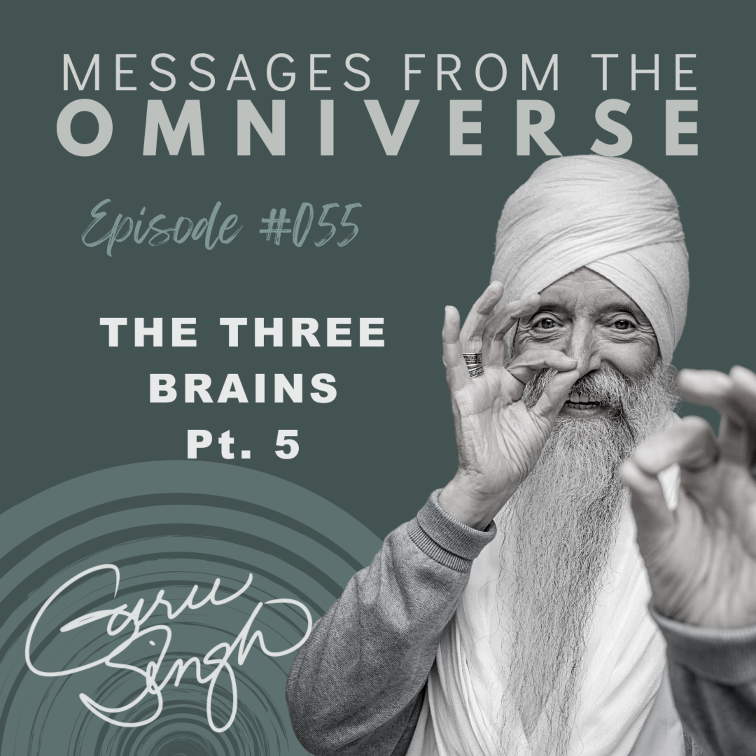 EP [055] The Three Brains Pt. 5 Commit to Joy
