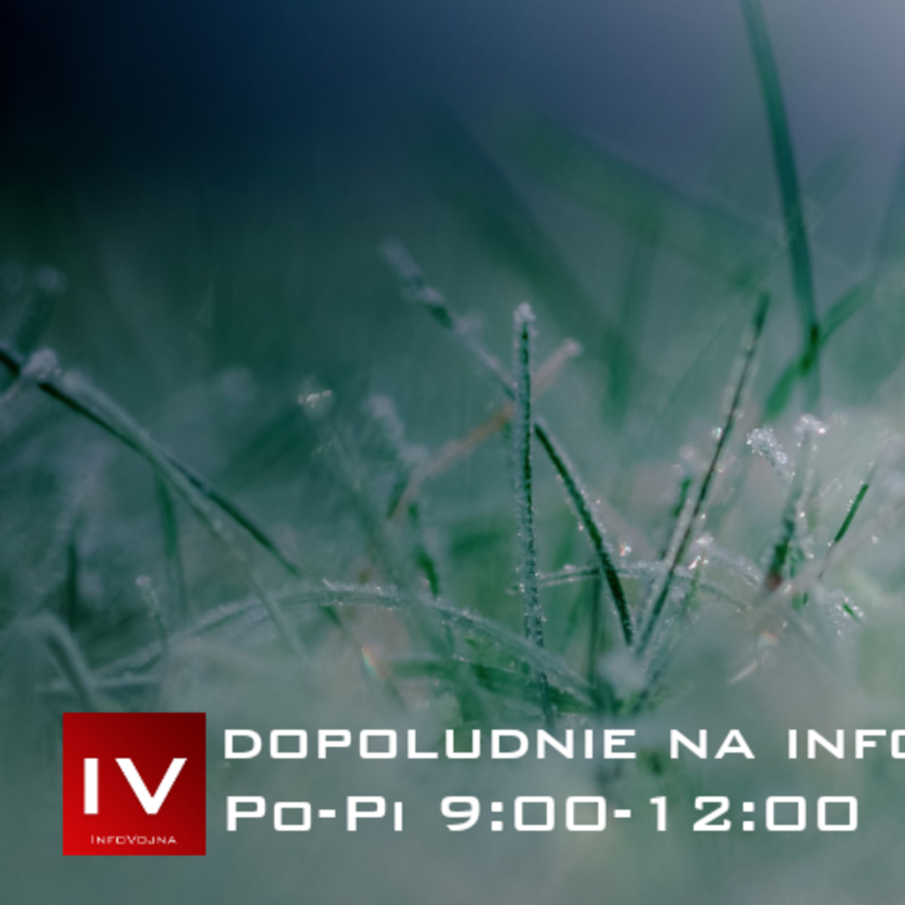 Infovojna archív