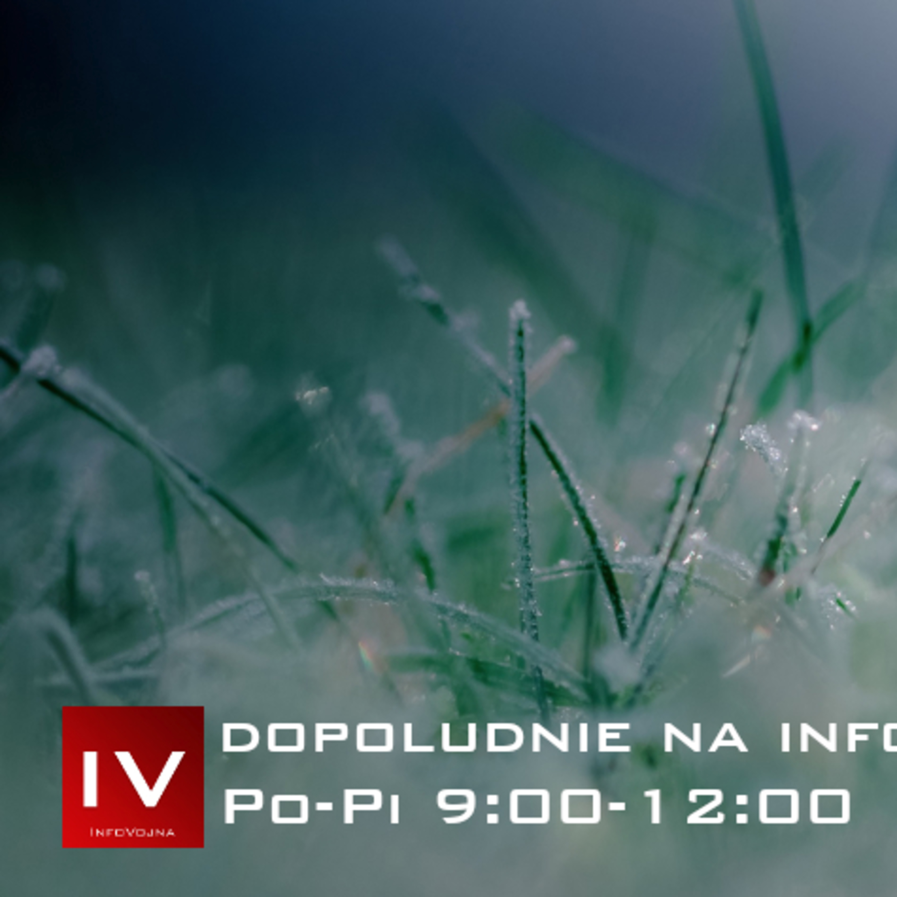 Infovojna archív