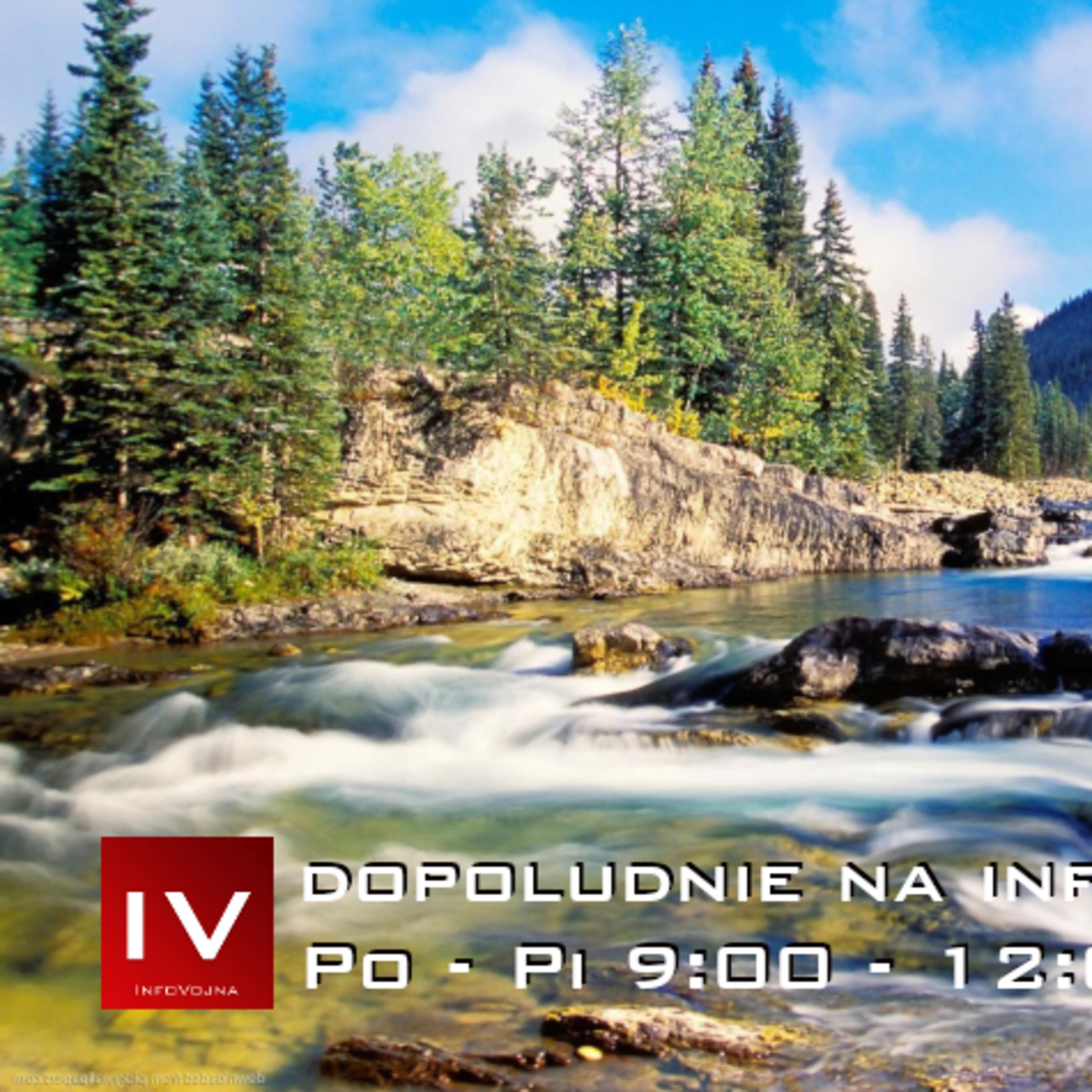 Infovojna archív