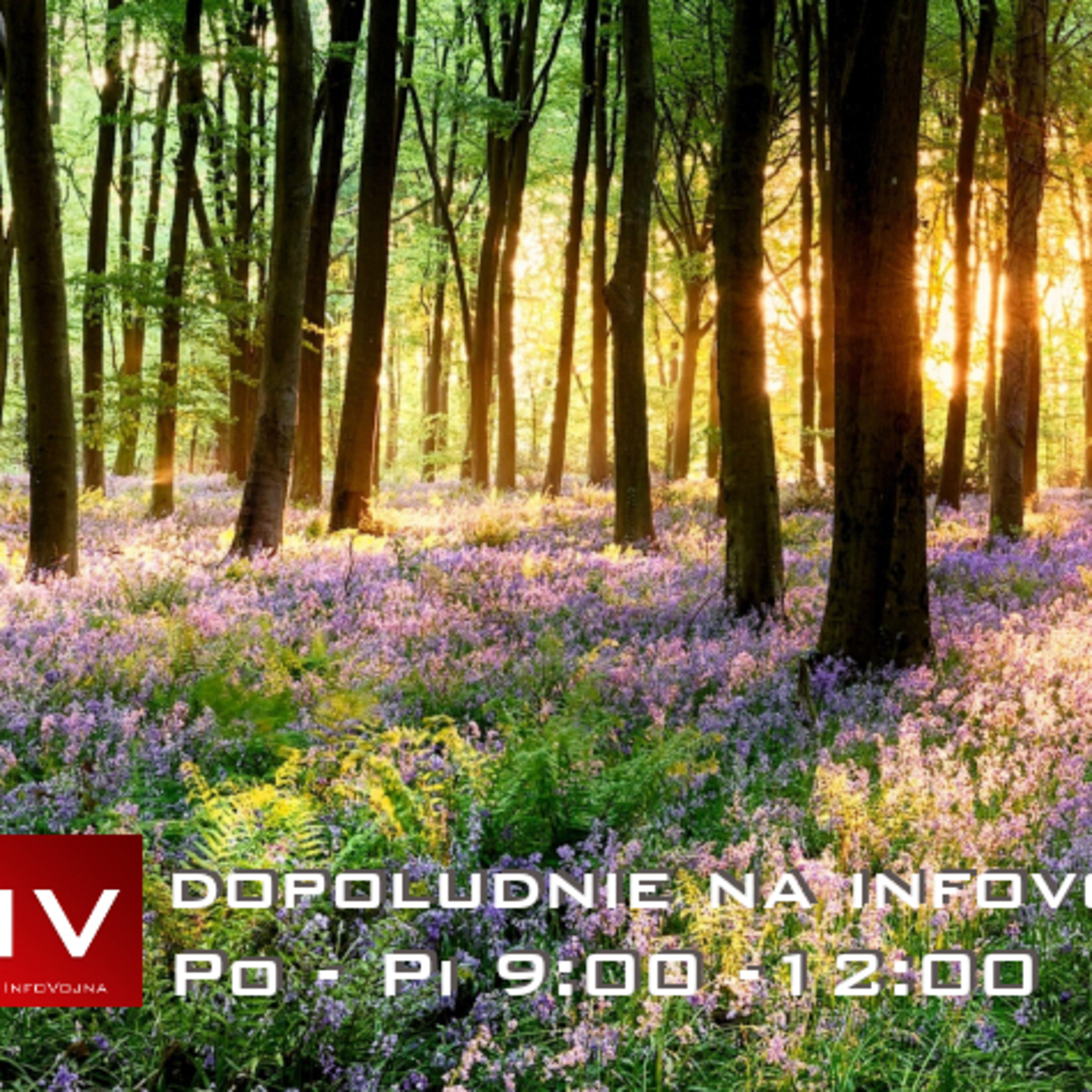 Dopoludnie na Infovojne s Adrianom 12.6.2023 episode artwork