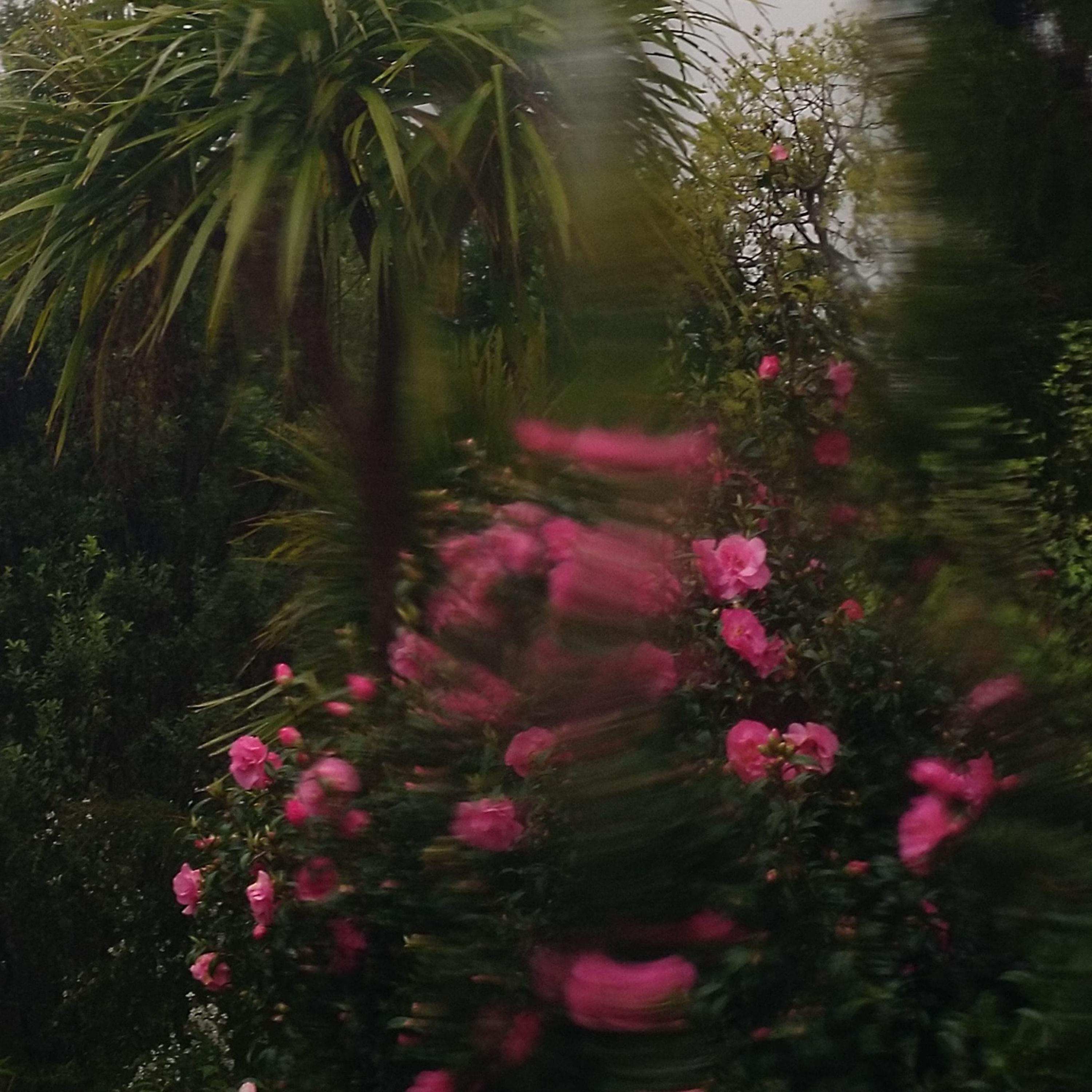 003