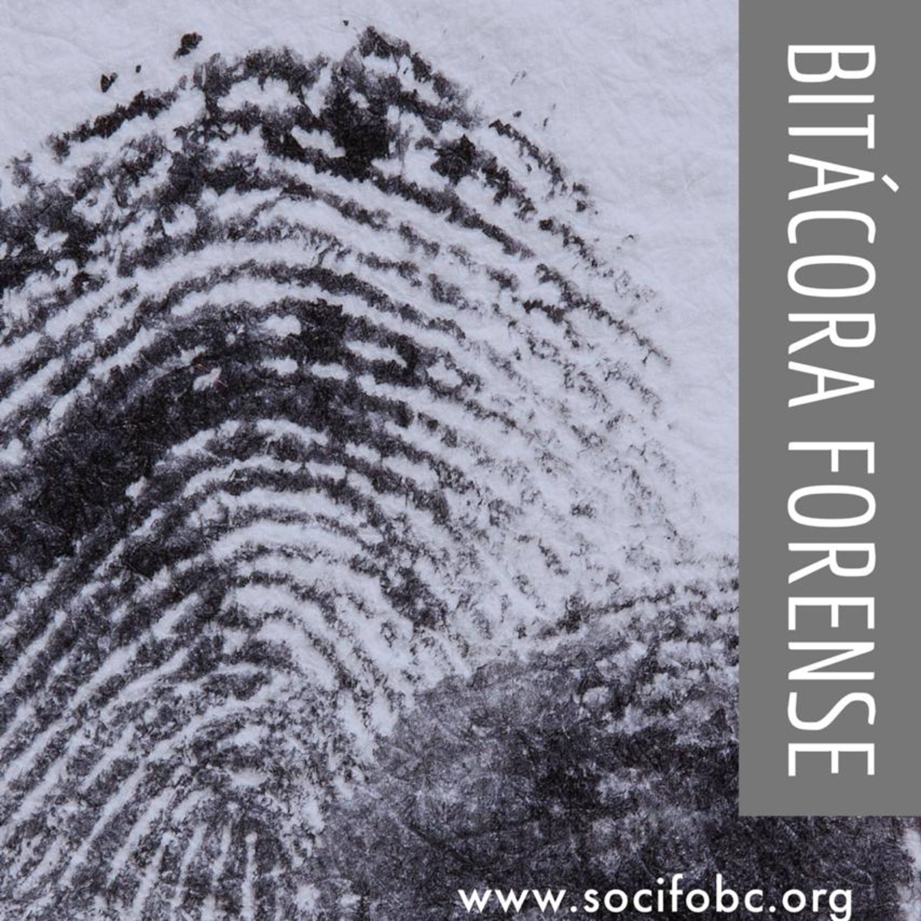 Bitácora y Apuntes de un Forense