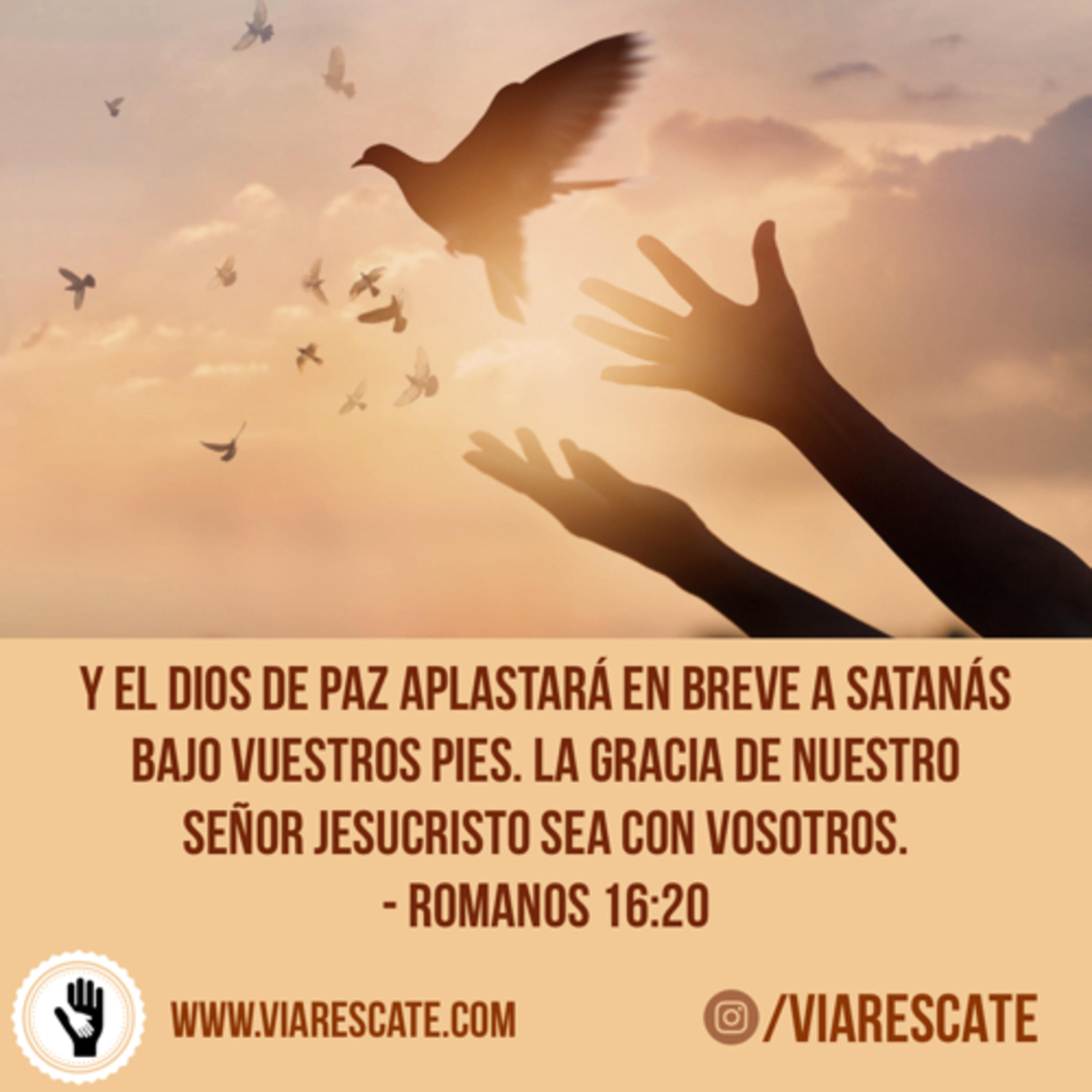 VIARESCATE