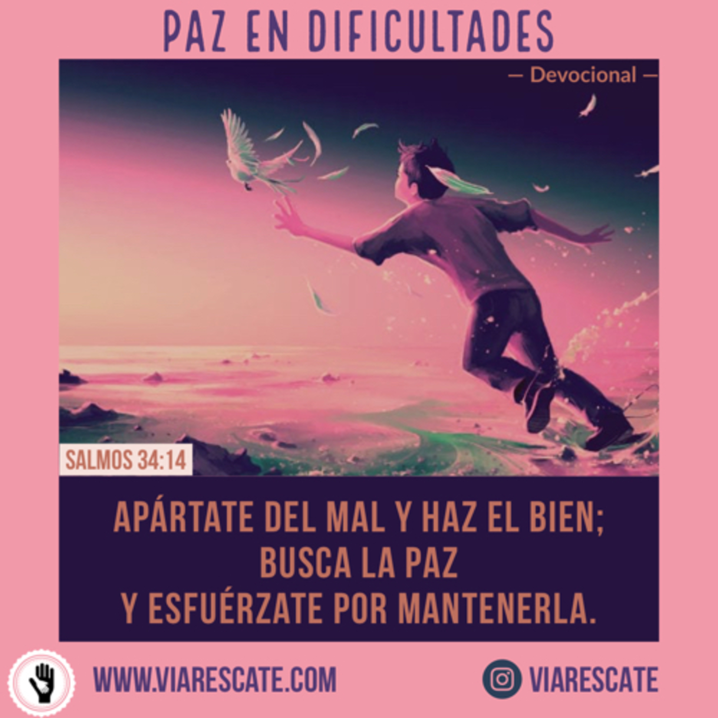 VIARESCATE