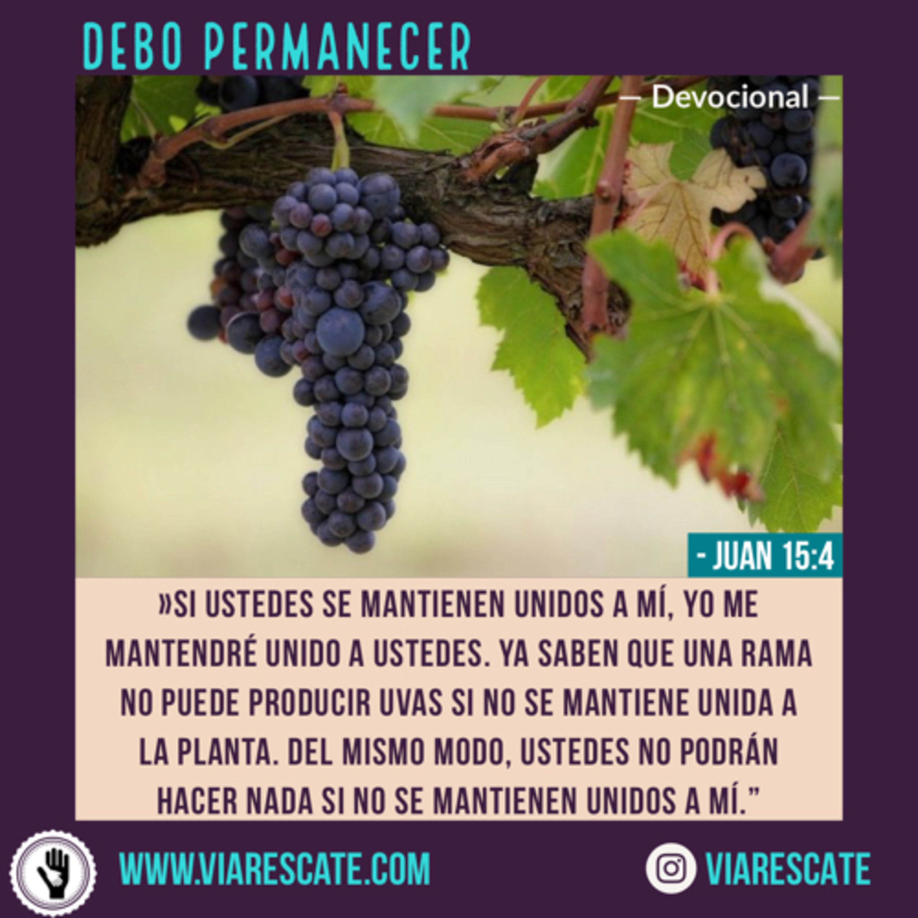 VIARESCATE