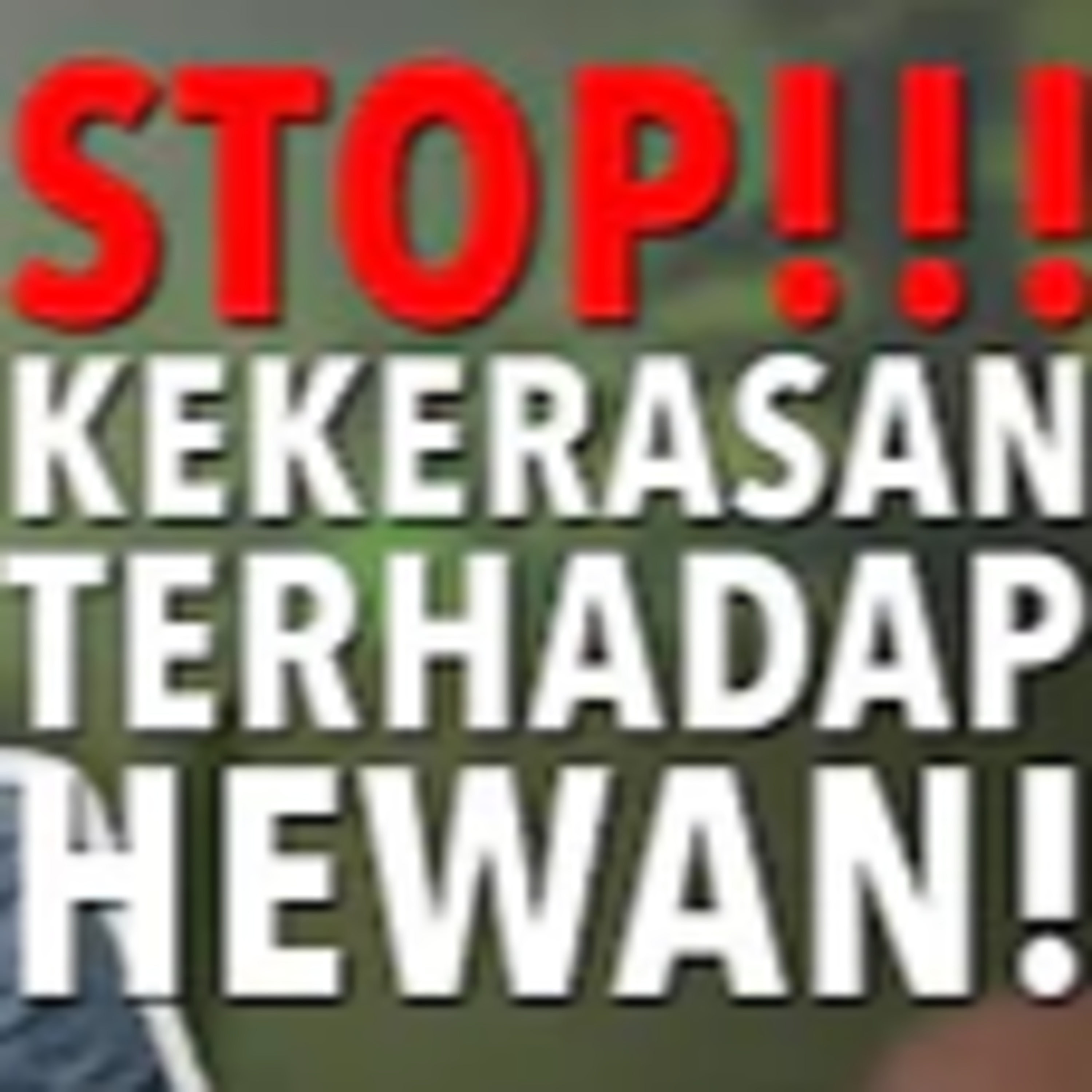 Ngakak semaunya bareng Stand Up Comedy Indonesia!