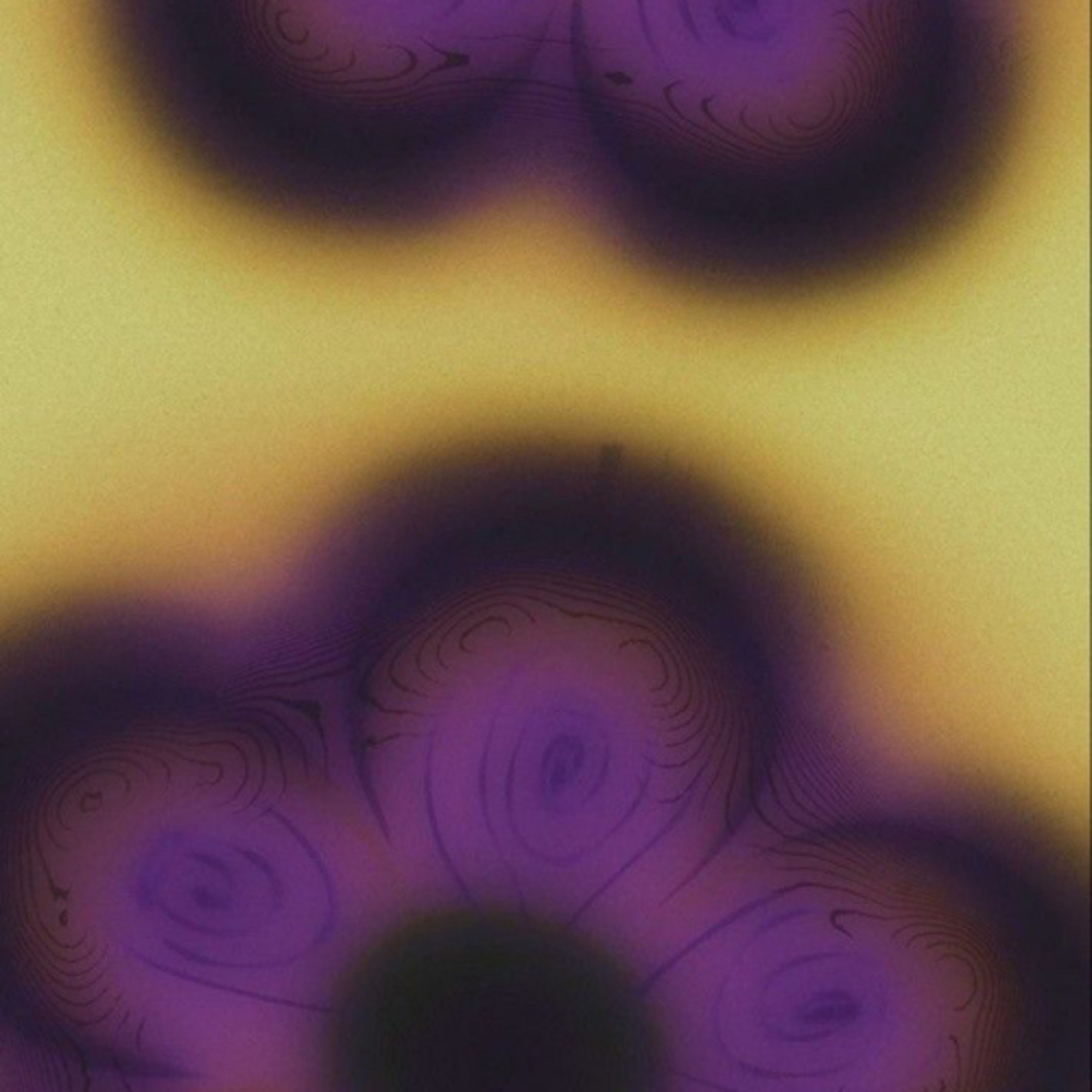 Your perception controls your reality episode artwork