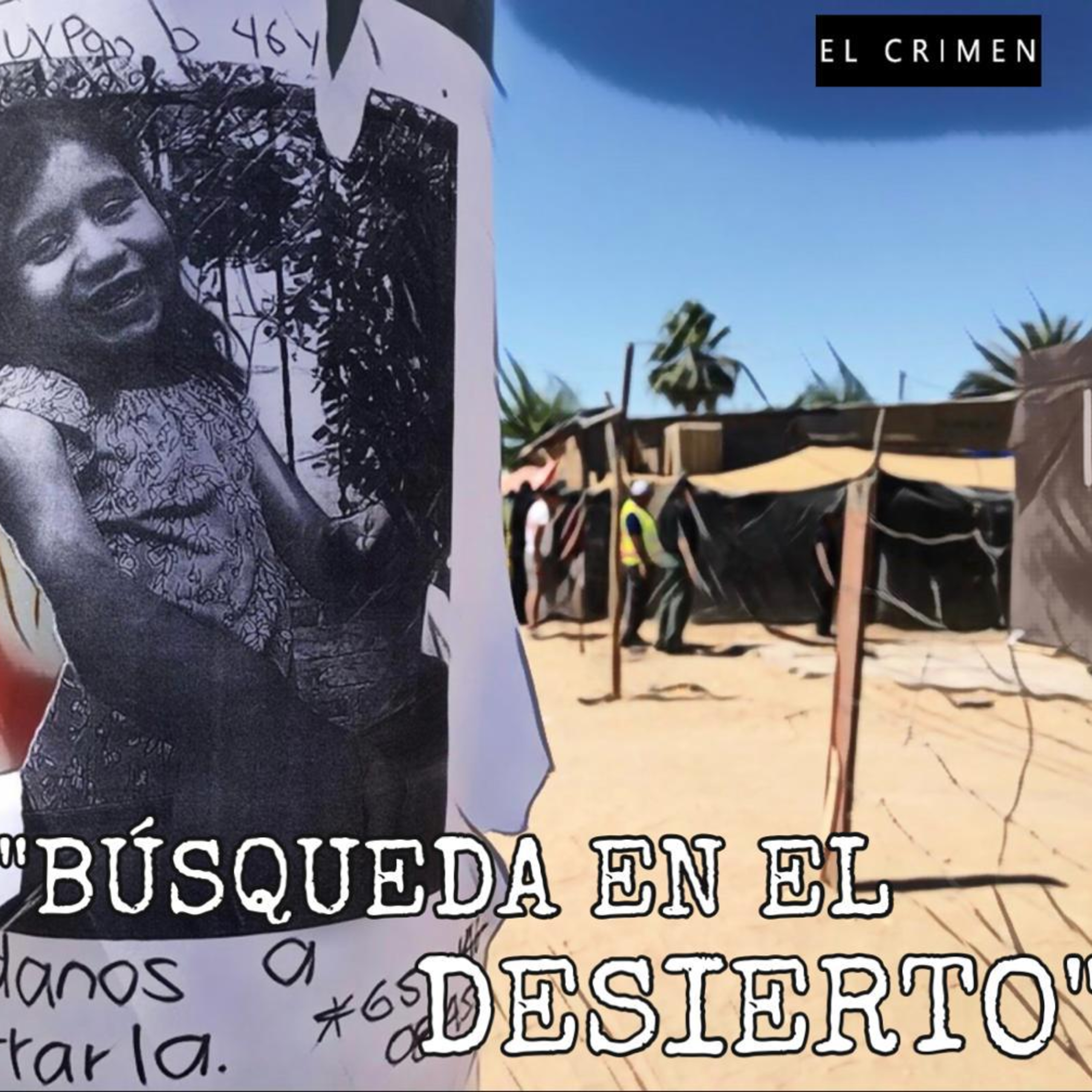 T3 E1 Búsqueda en el Desierto