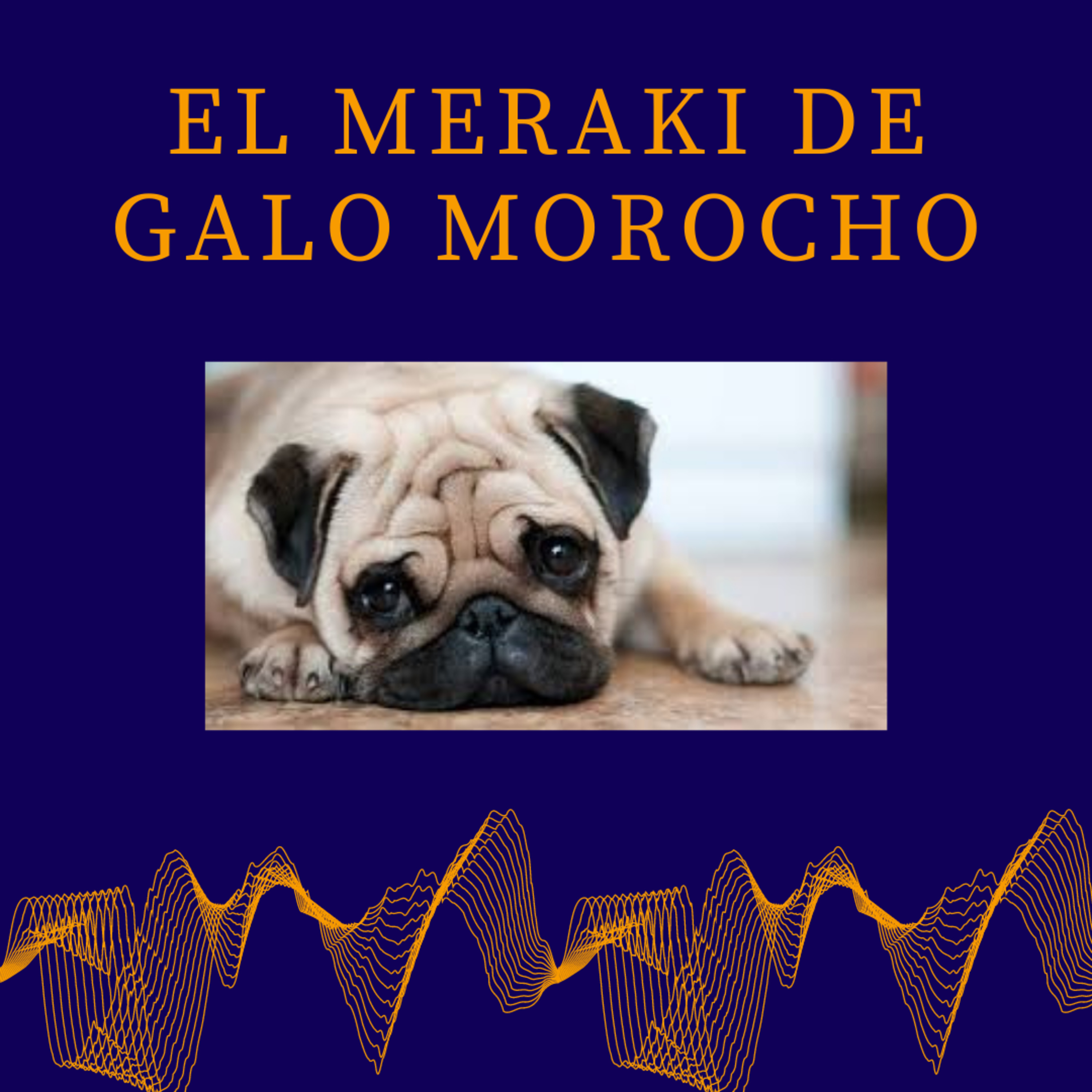 El Meraki de Galo Morocho
