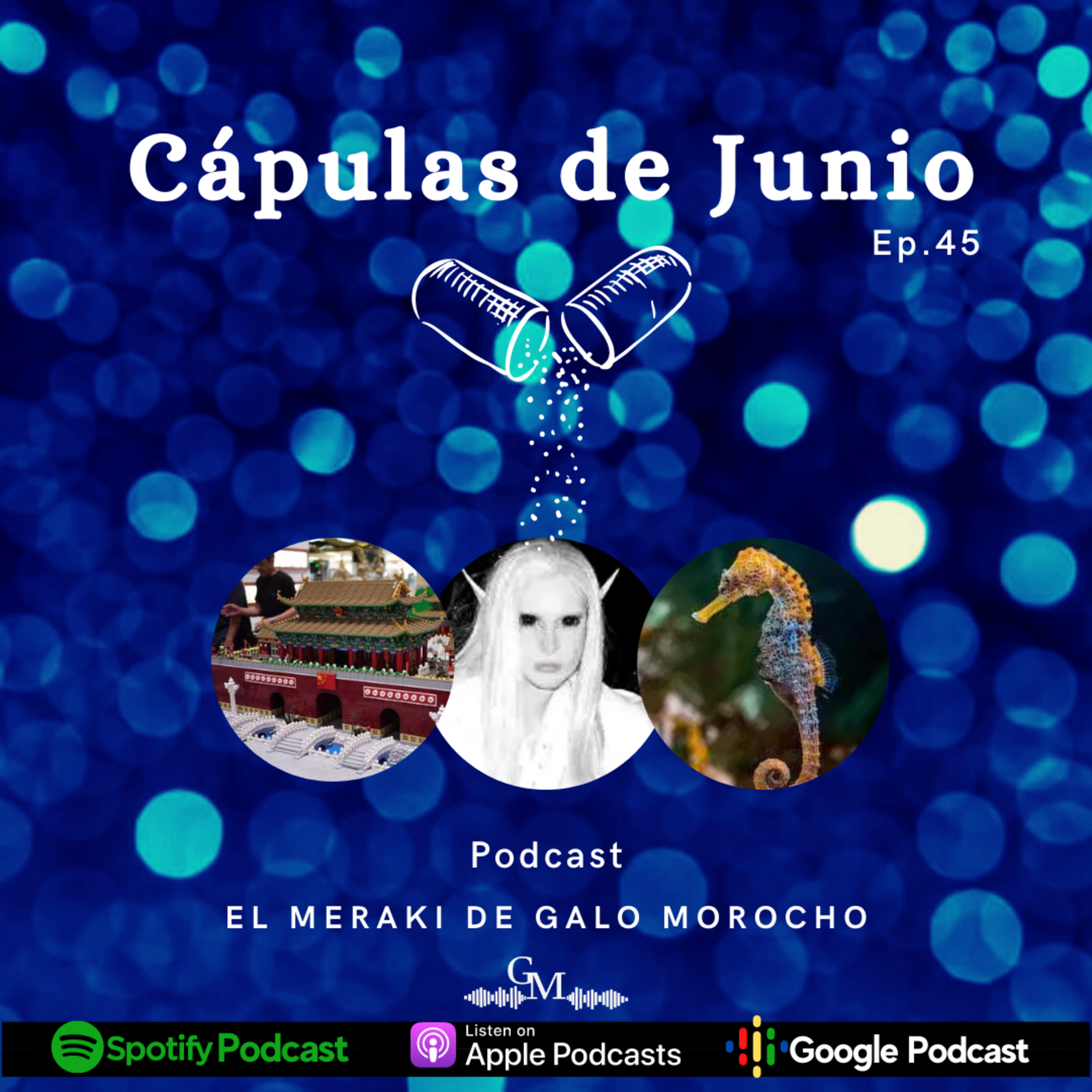 El Meraki de Galo Morocho
