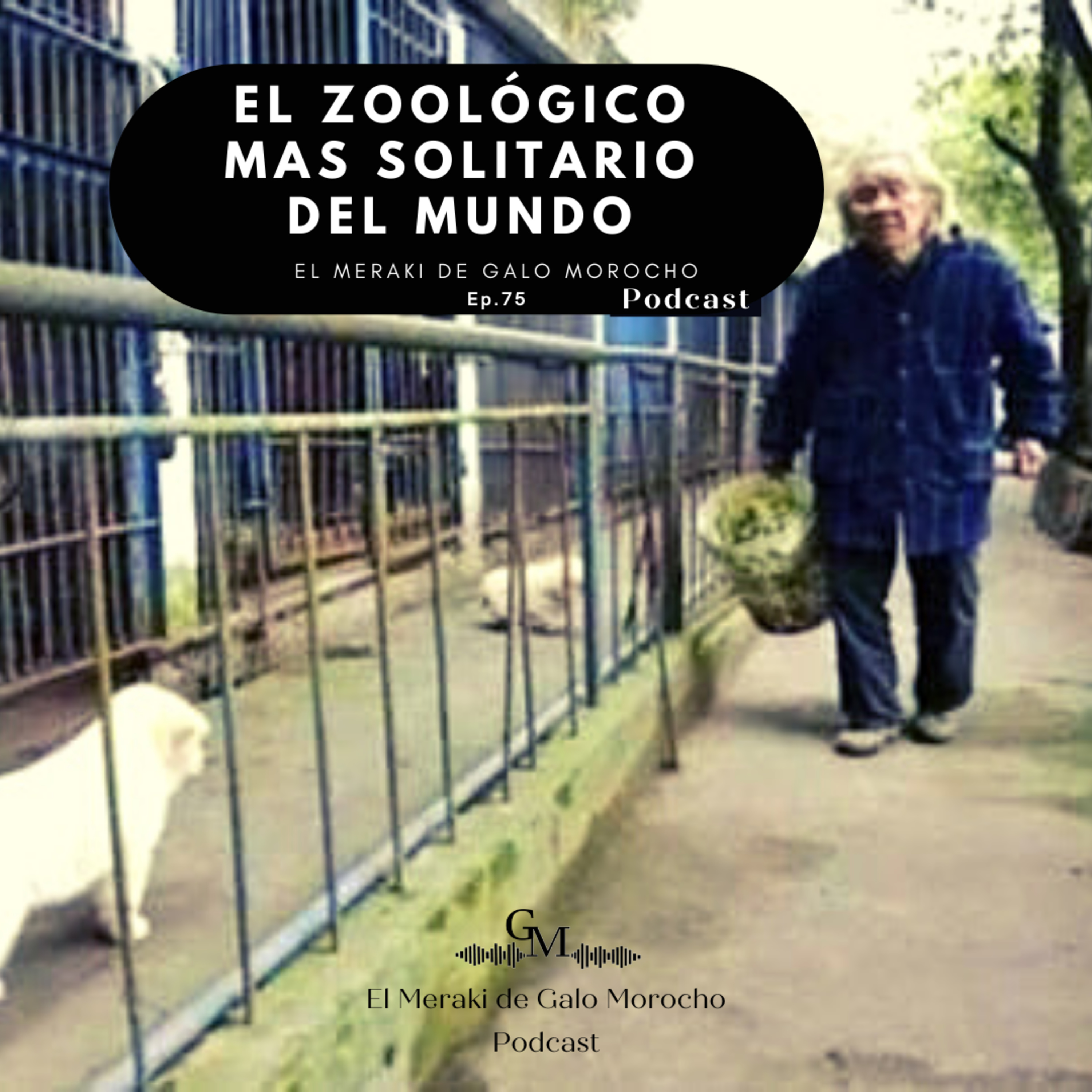 El Meraki de Galo Morocho