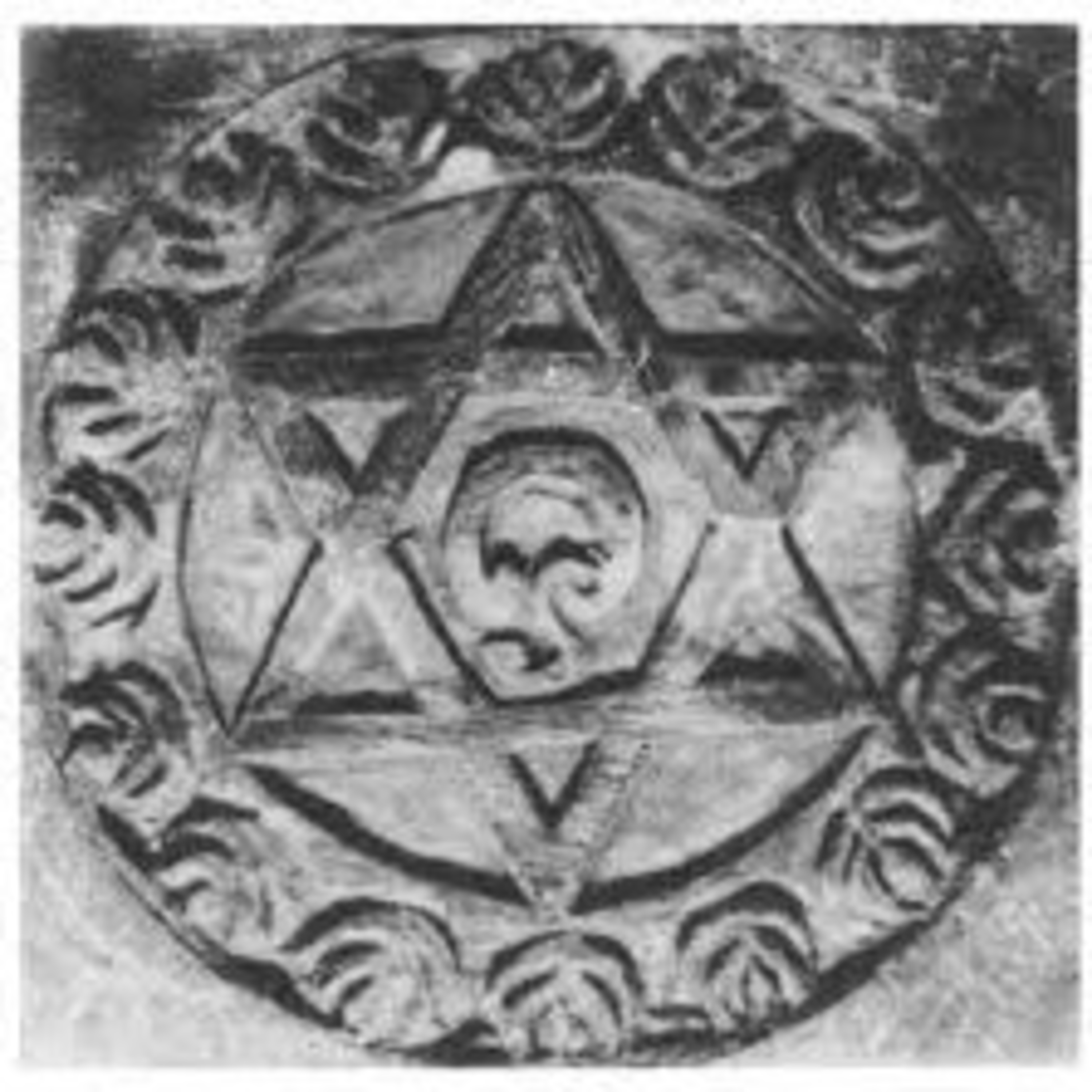 aquascious - creating utopia together