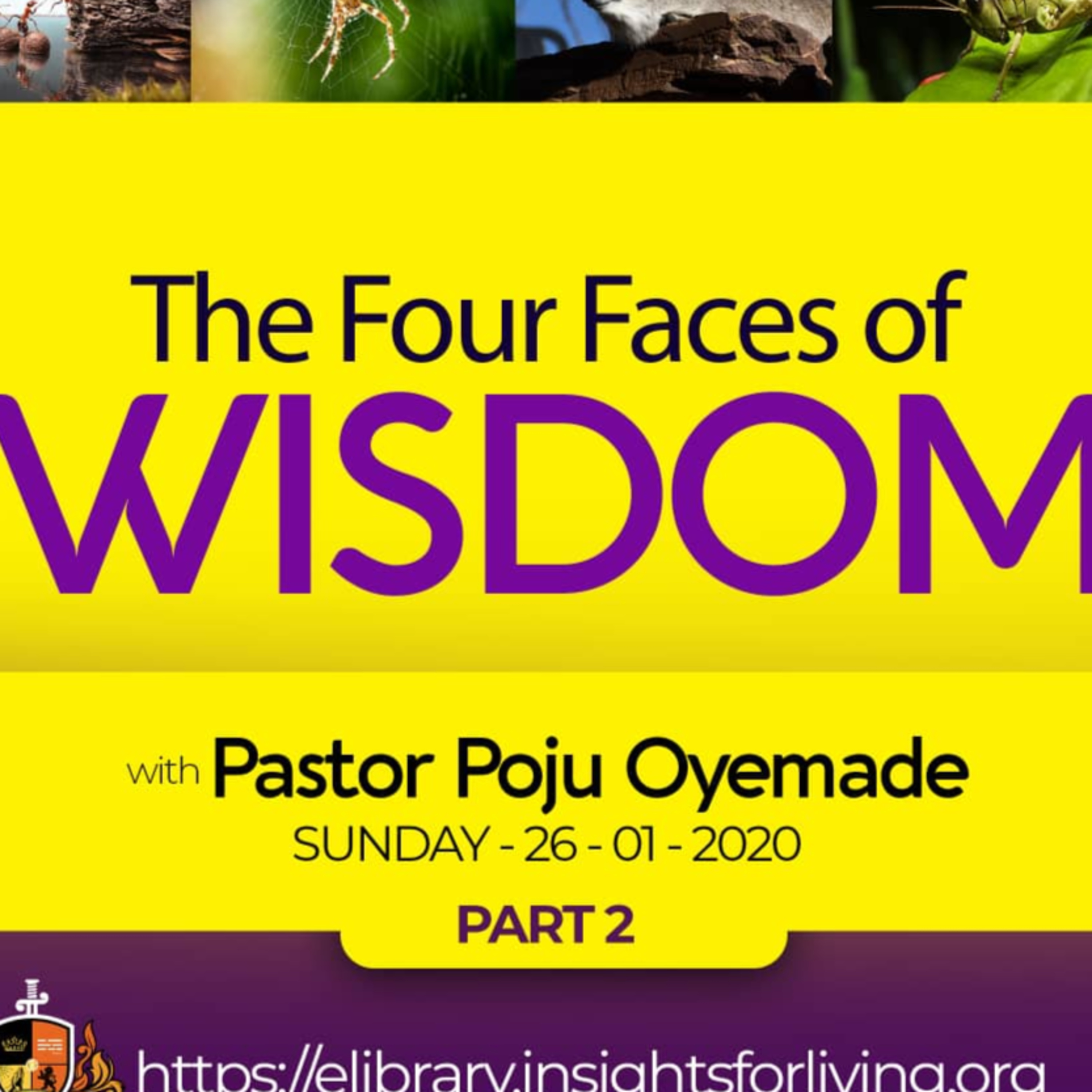 The Four Faces of Wisdom episode artwork