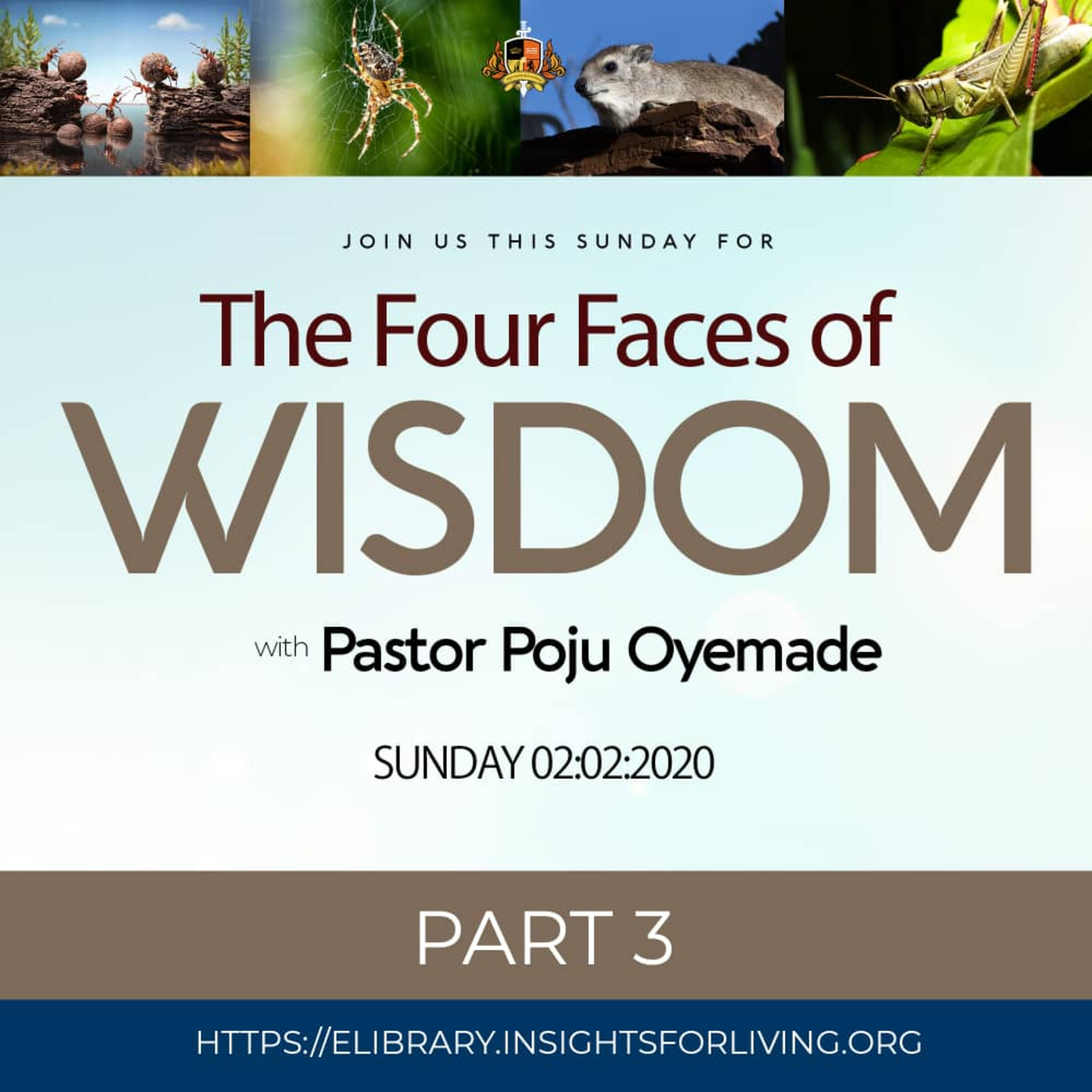 The Four Faces of Wisdom PT3 episode artwork