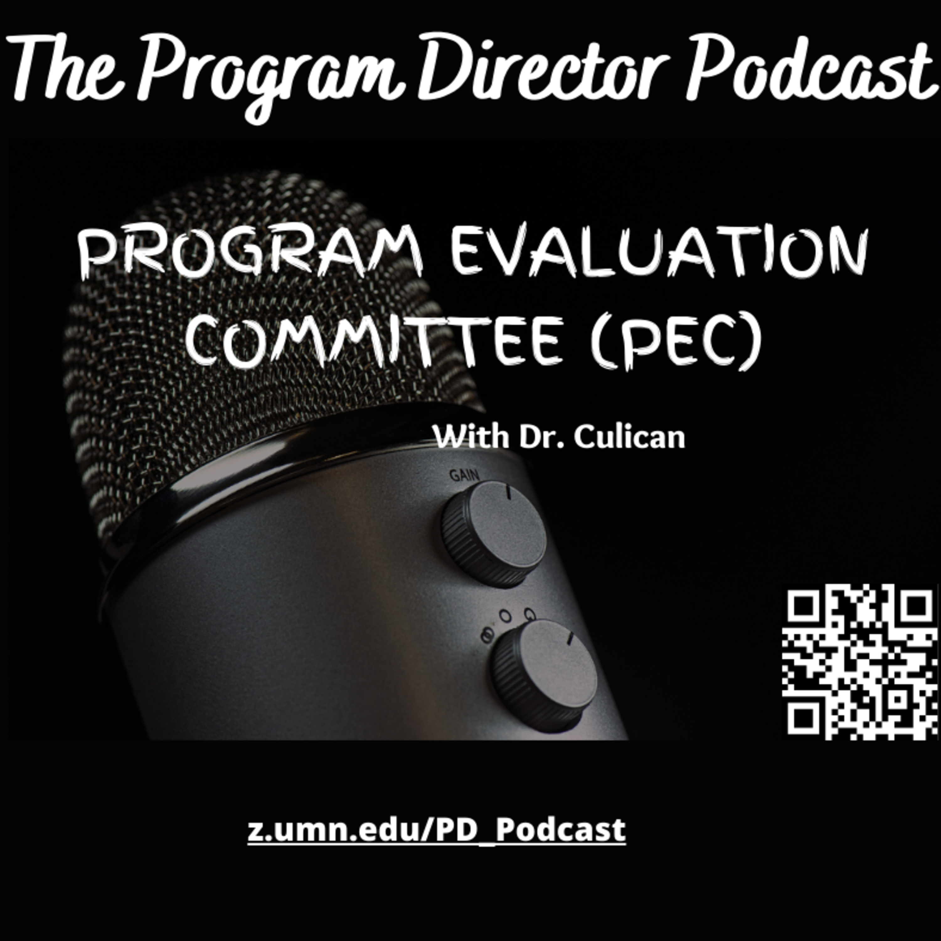 Program Evaluation Committee with Dr. Culican