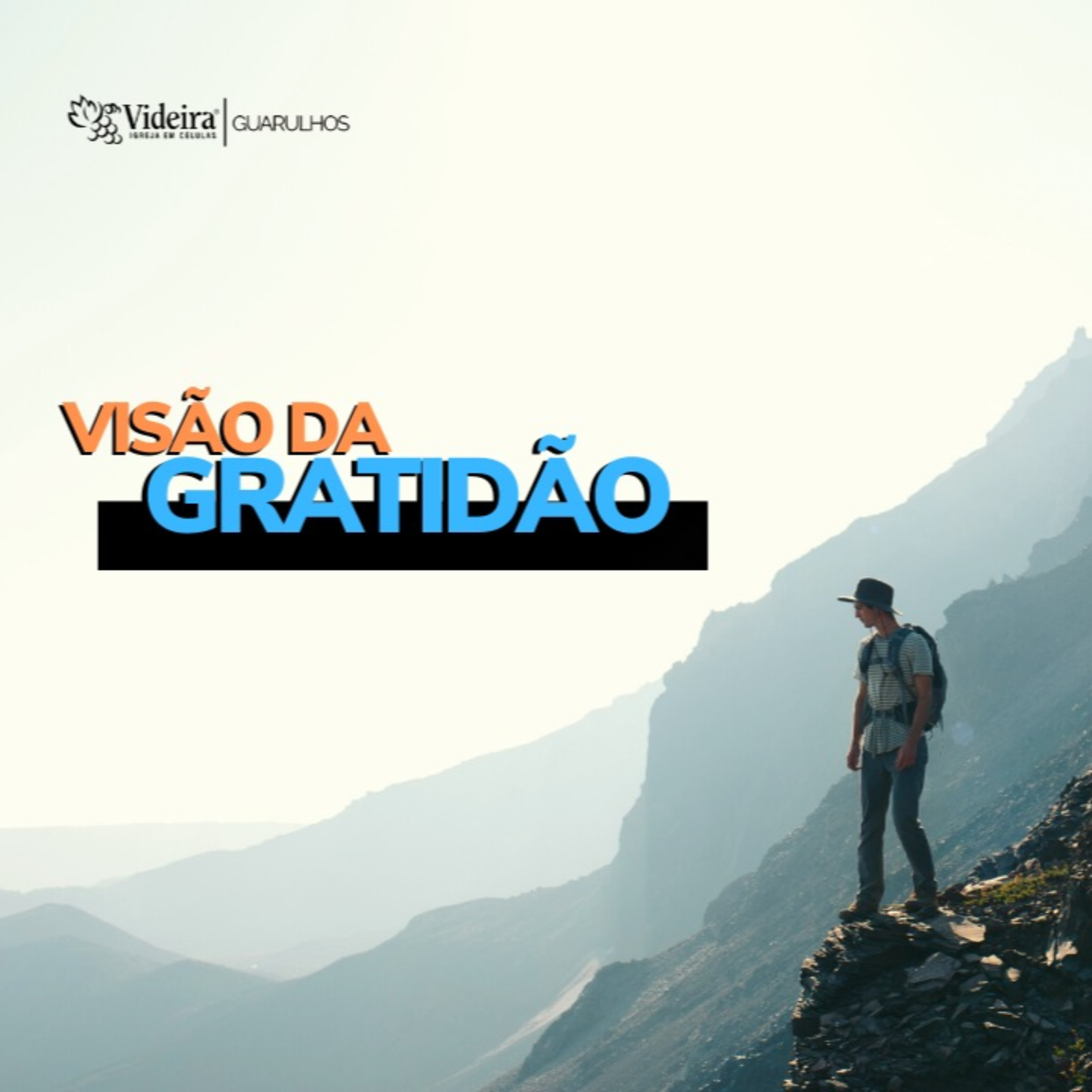 Videira Guarulhos