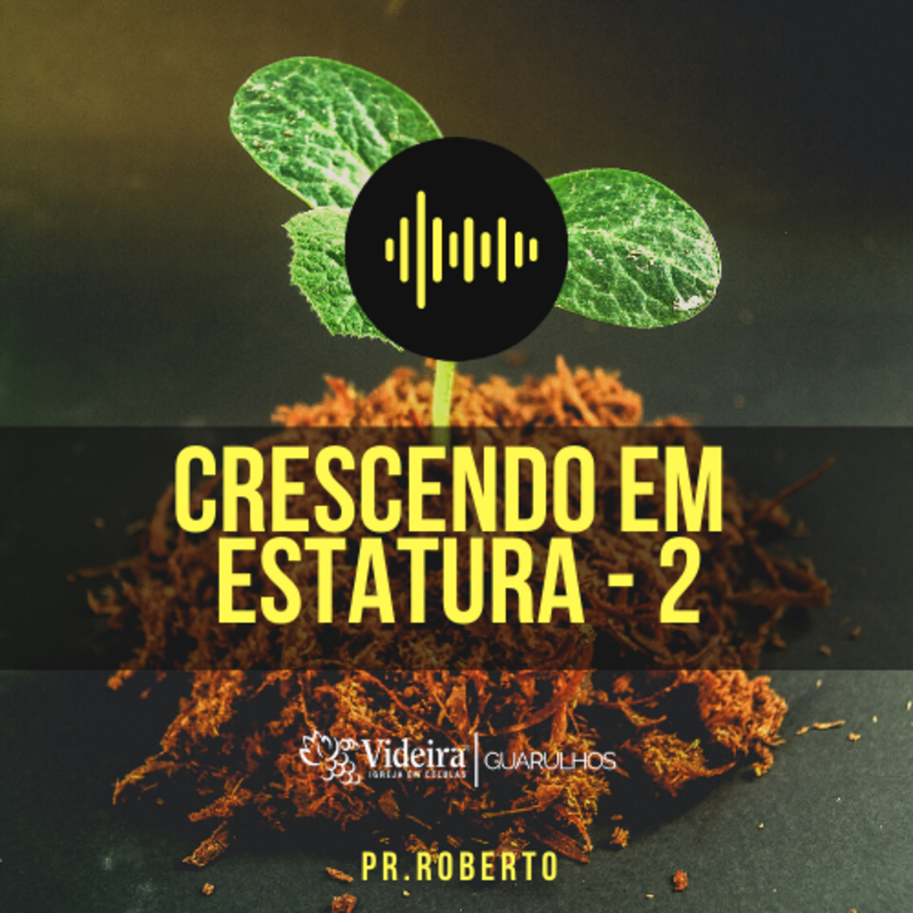 Videira Guarulhos