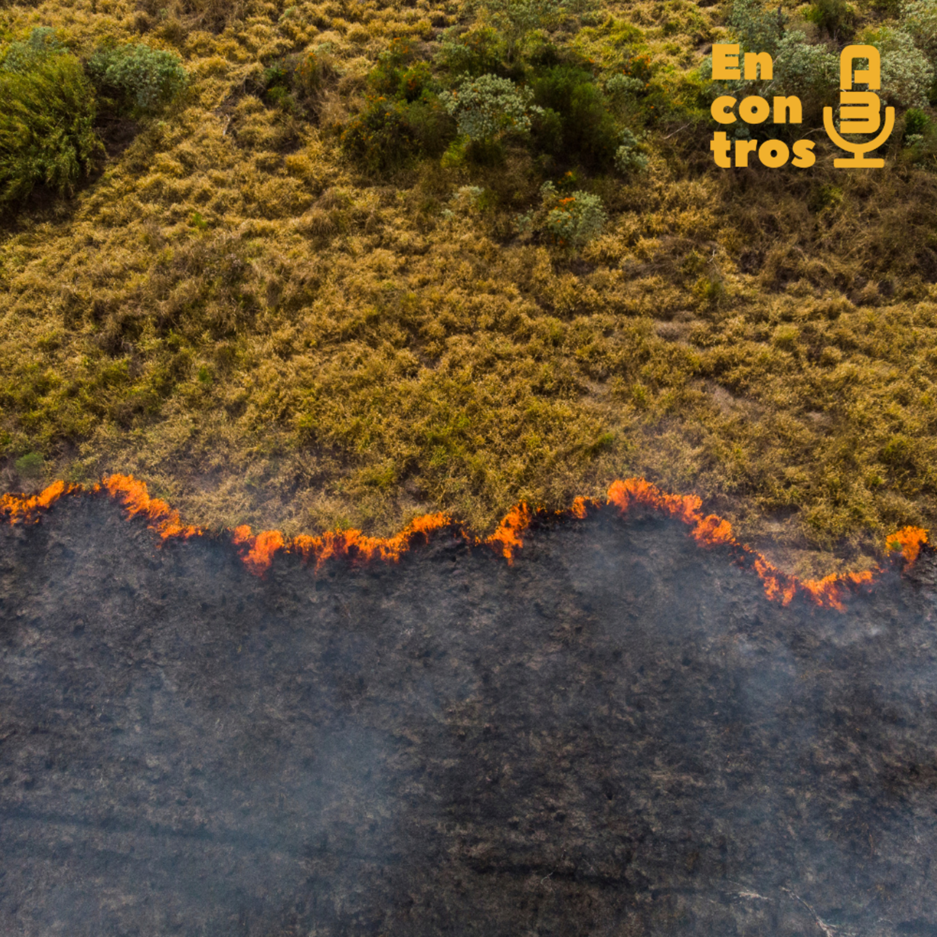 Encontros A3 – UFJF